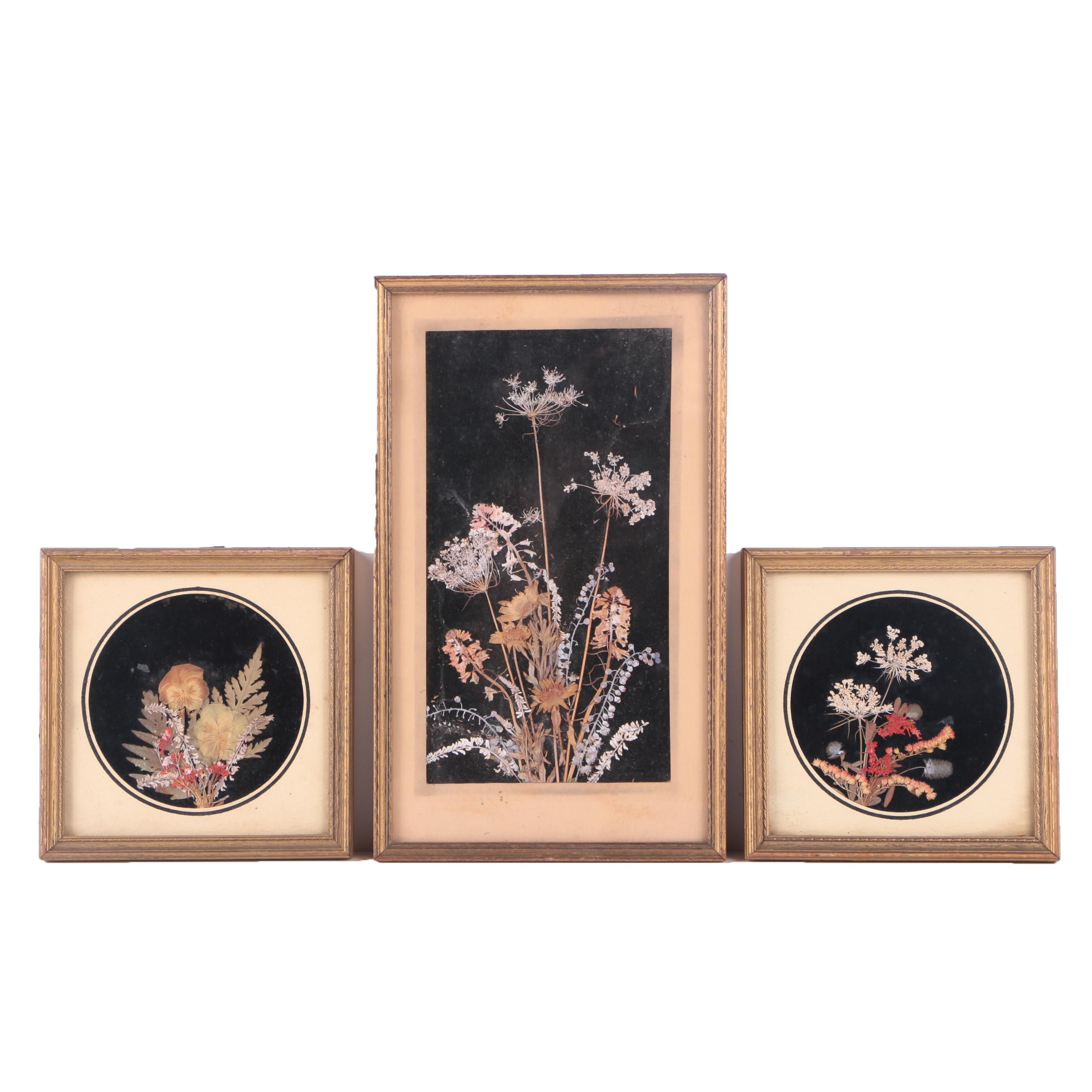 Assortment of Pressed New England Flowers on Velvet