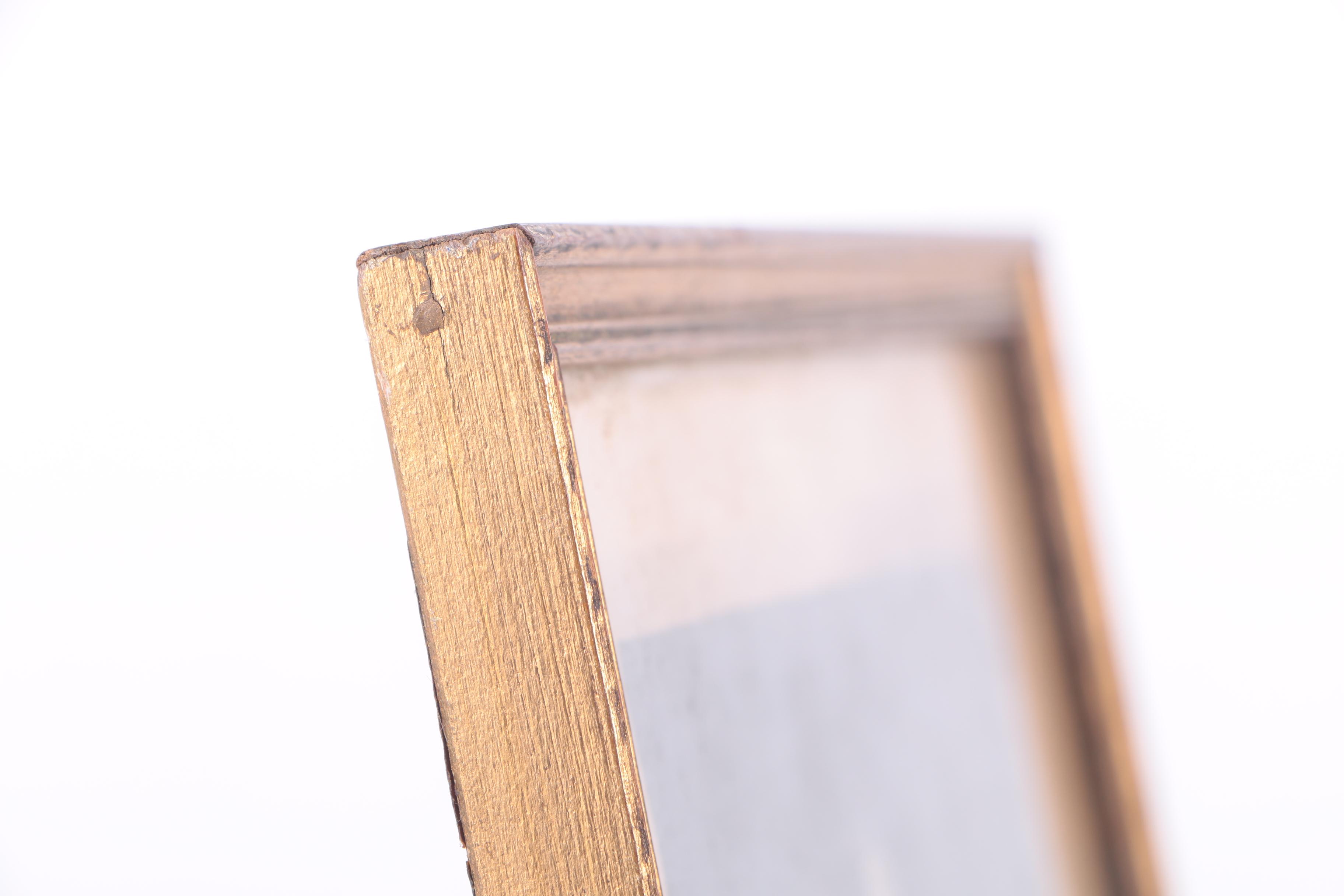 Assortment of Pressed New England Flowers on Velvet