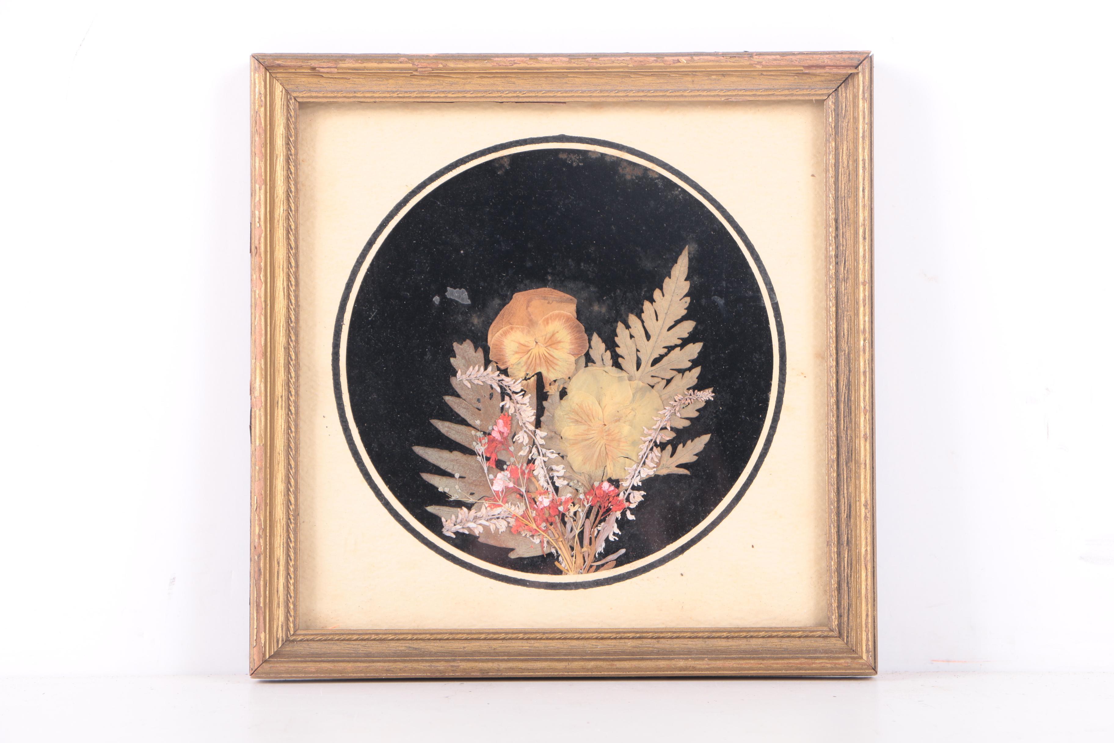 Assortment of Pressed New England Flowers on Velvet