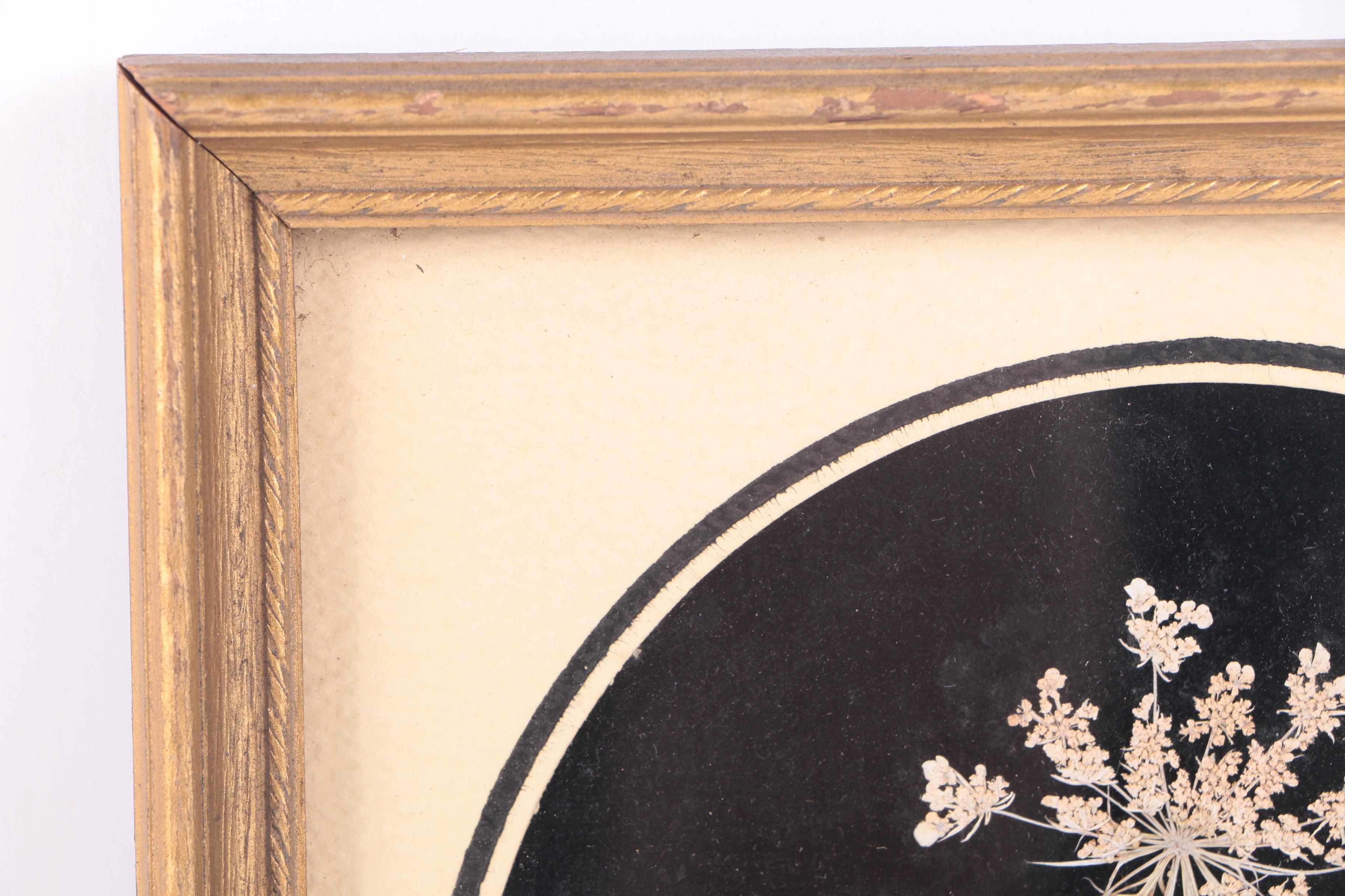 Assortment of Pressed New England Flowers on Velvet