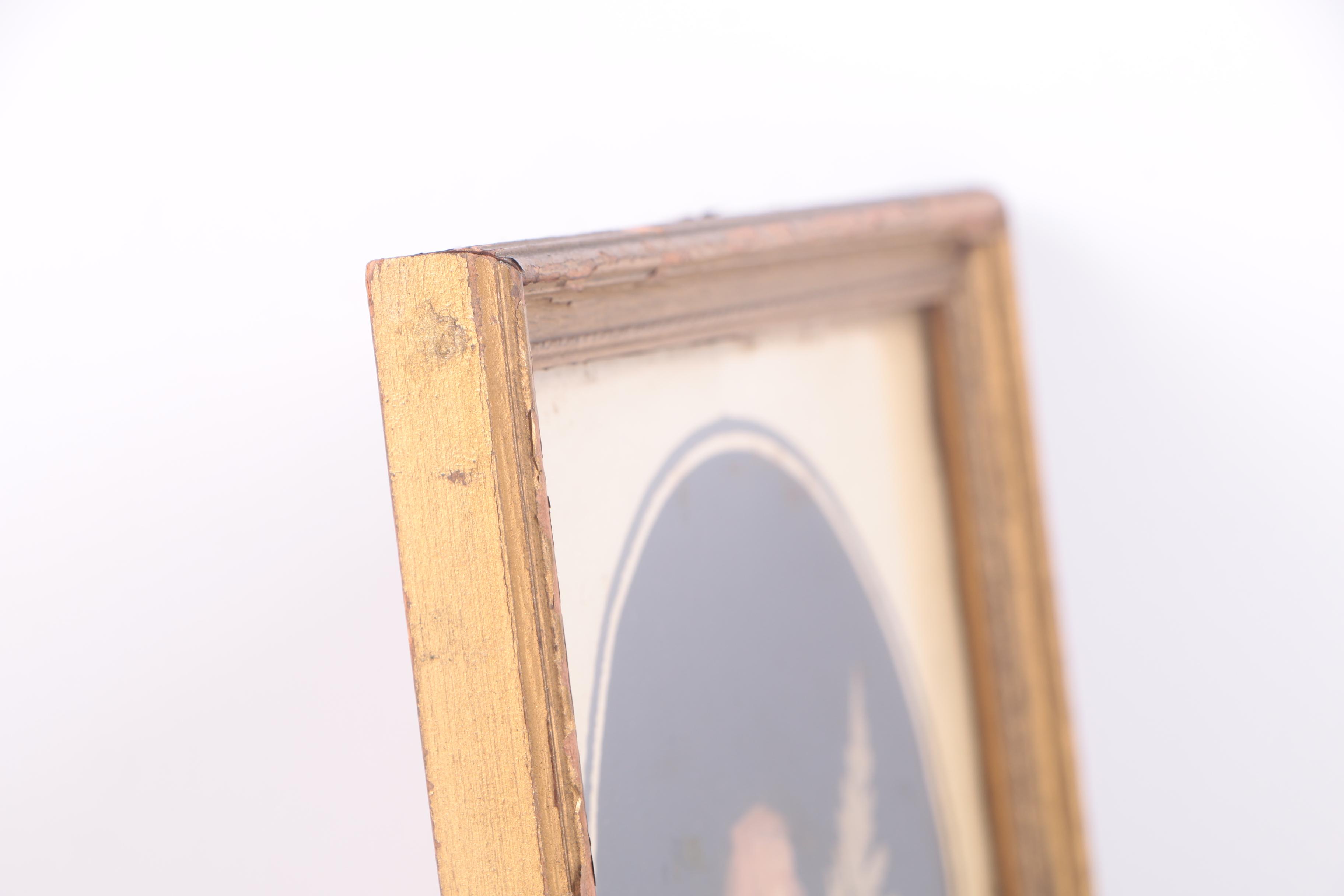 Assortment of Pressed New England Flowers on Velvet