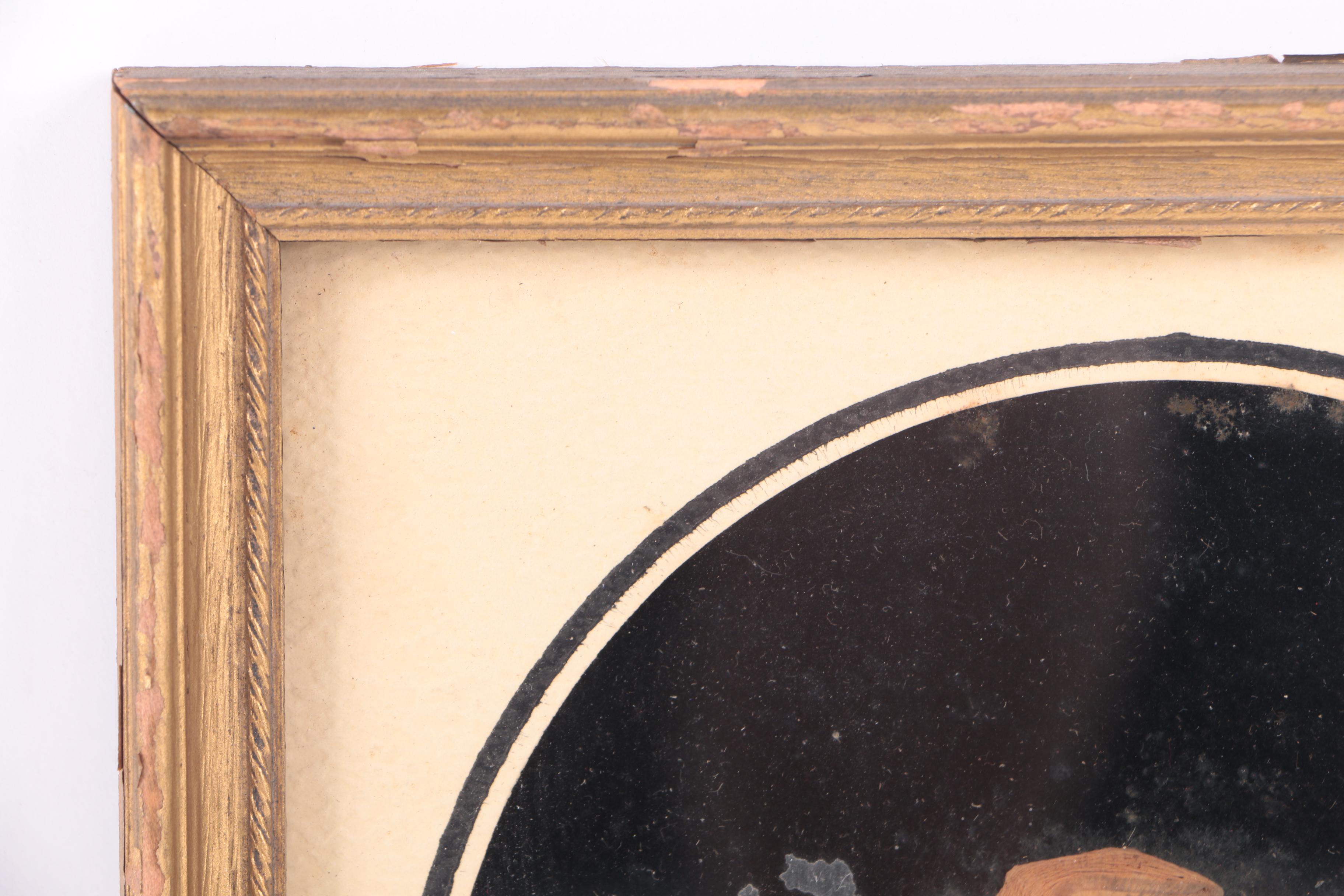 Assortment of Pressed New England Flowers on Velvet