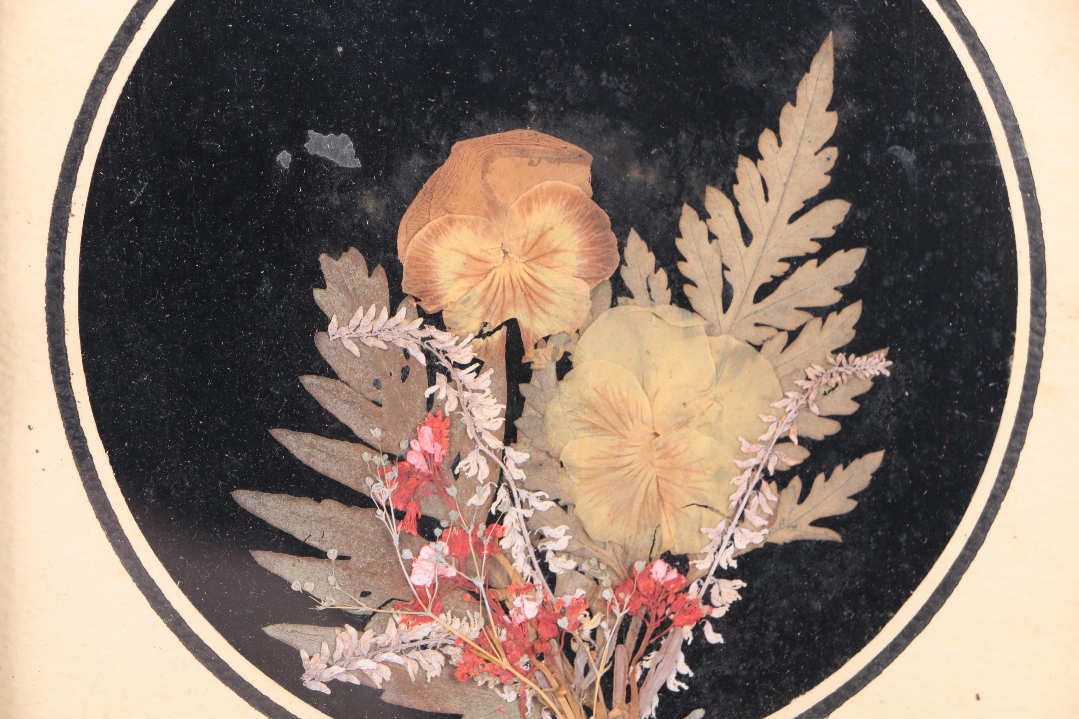 Assortment of Pressed New England Flowers on Velvet