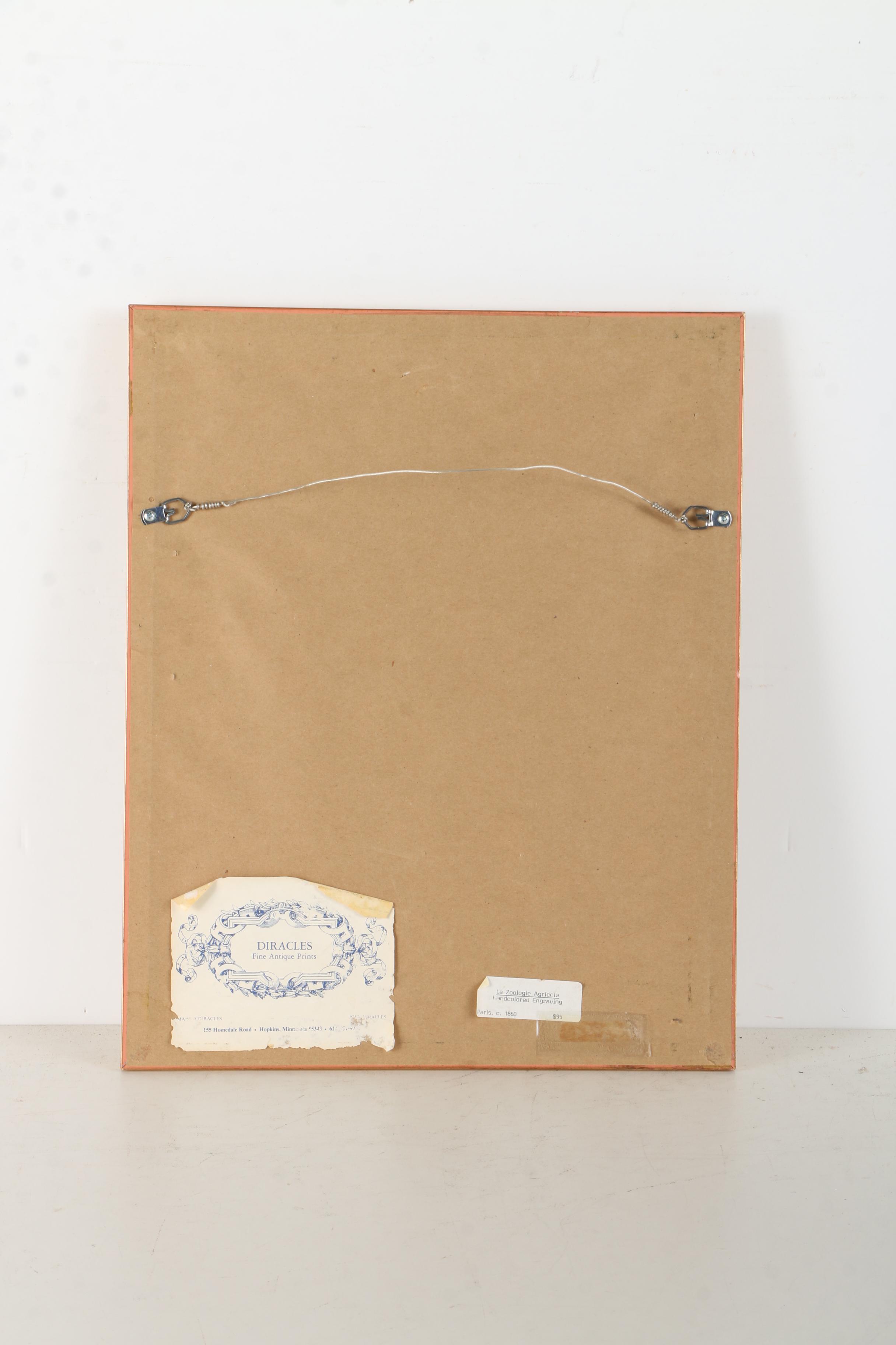 Offset Lithograph on Paper After an Engraving "Les Rosiers"