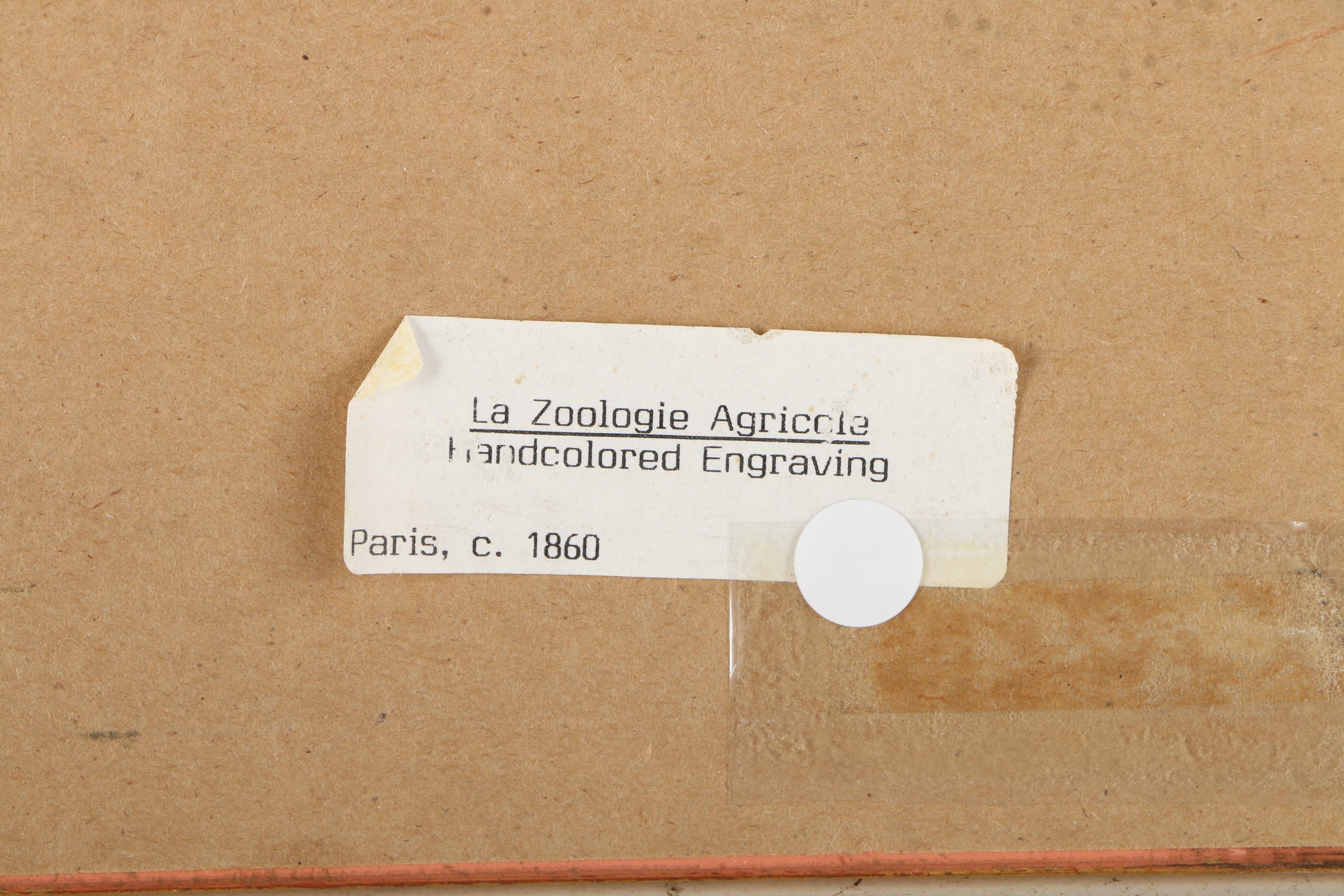 Offset Lithograph on Paper After an Engraving "Les Rosiers"