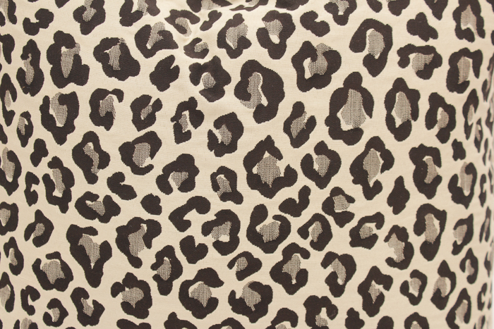 Leopard Print Pillows