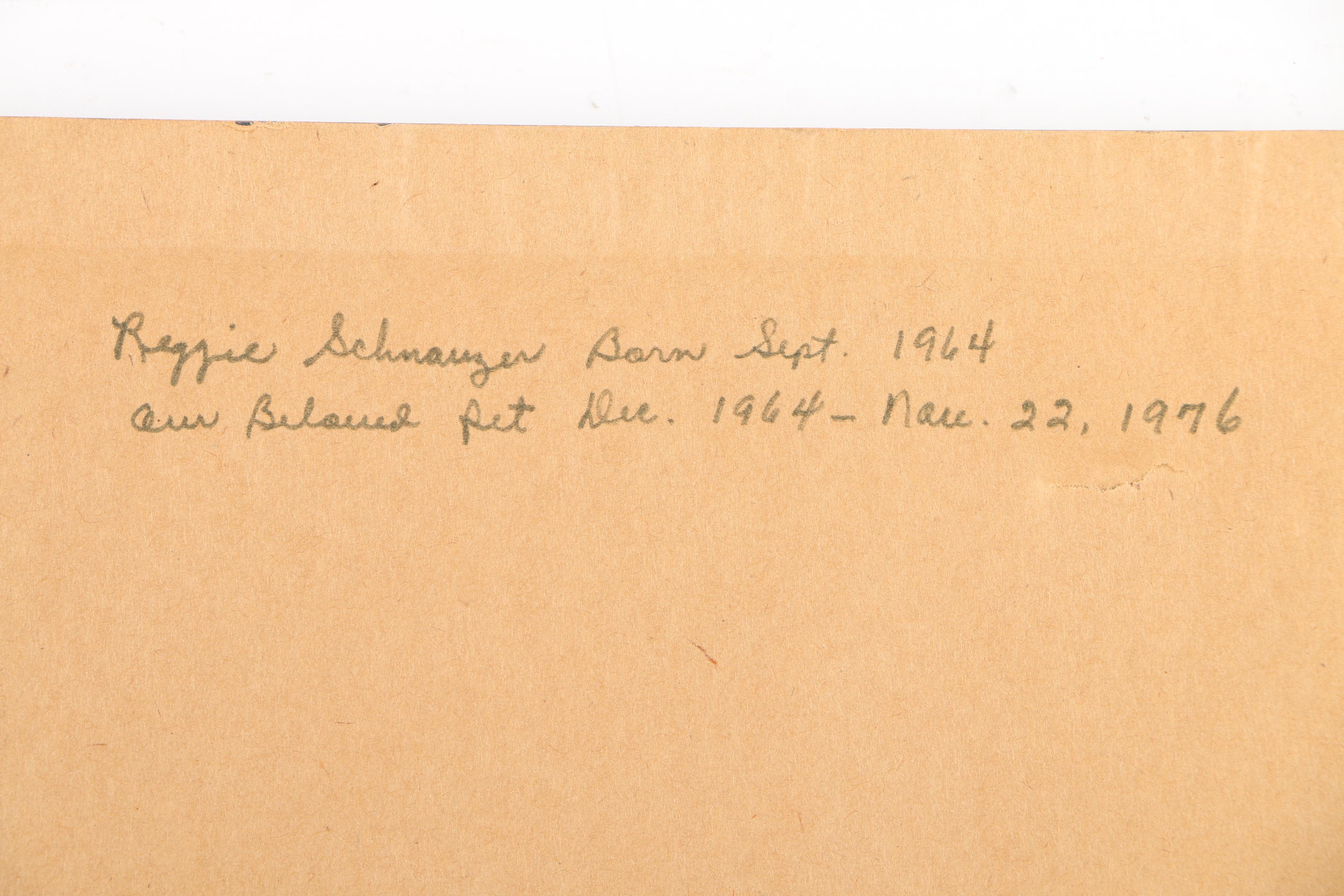 Oil Painting on Canvas of a Miniature Schnauzer