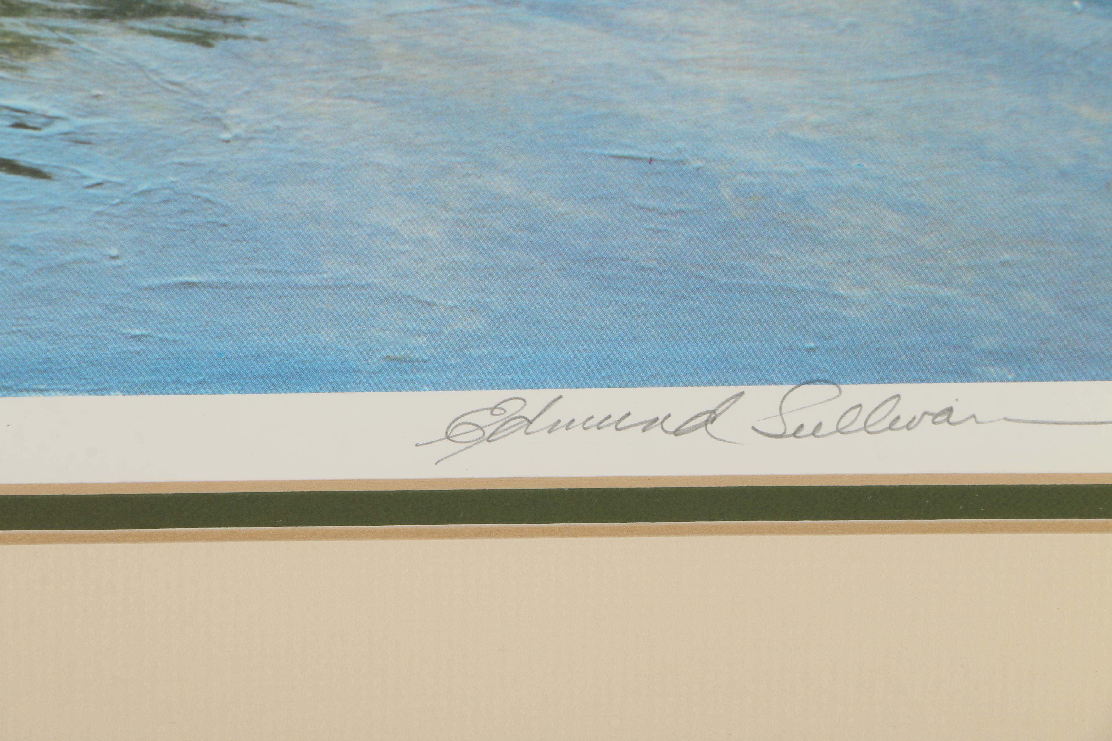 Edmund Sullivan Limited Edition Offset Lithograph