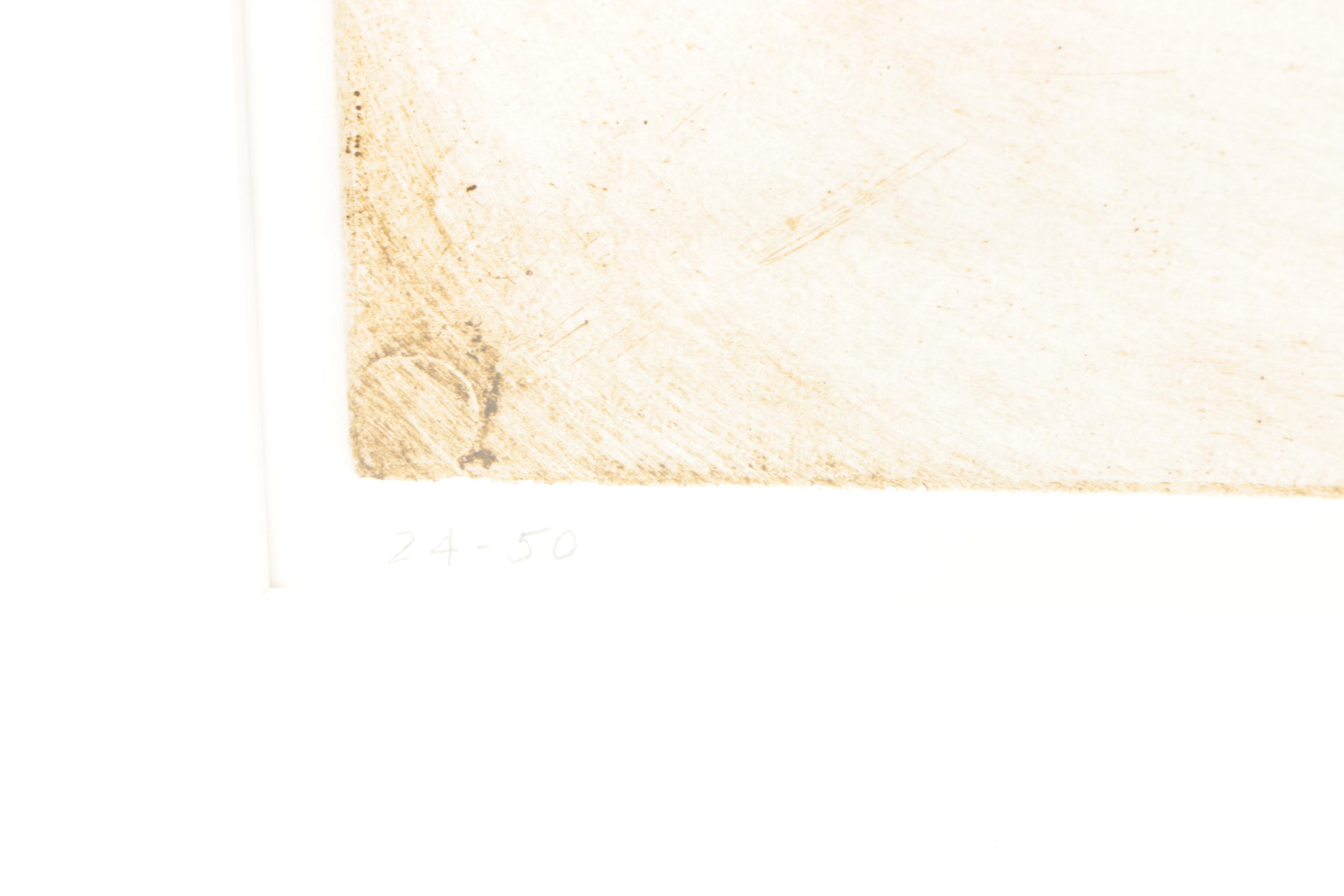 Signed Aquatint Etching with Collagraphy Elements on Paper