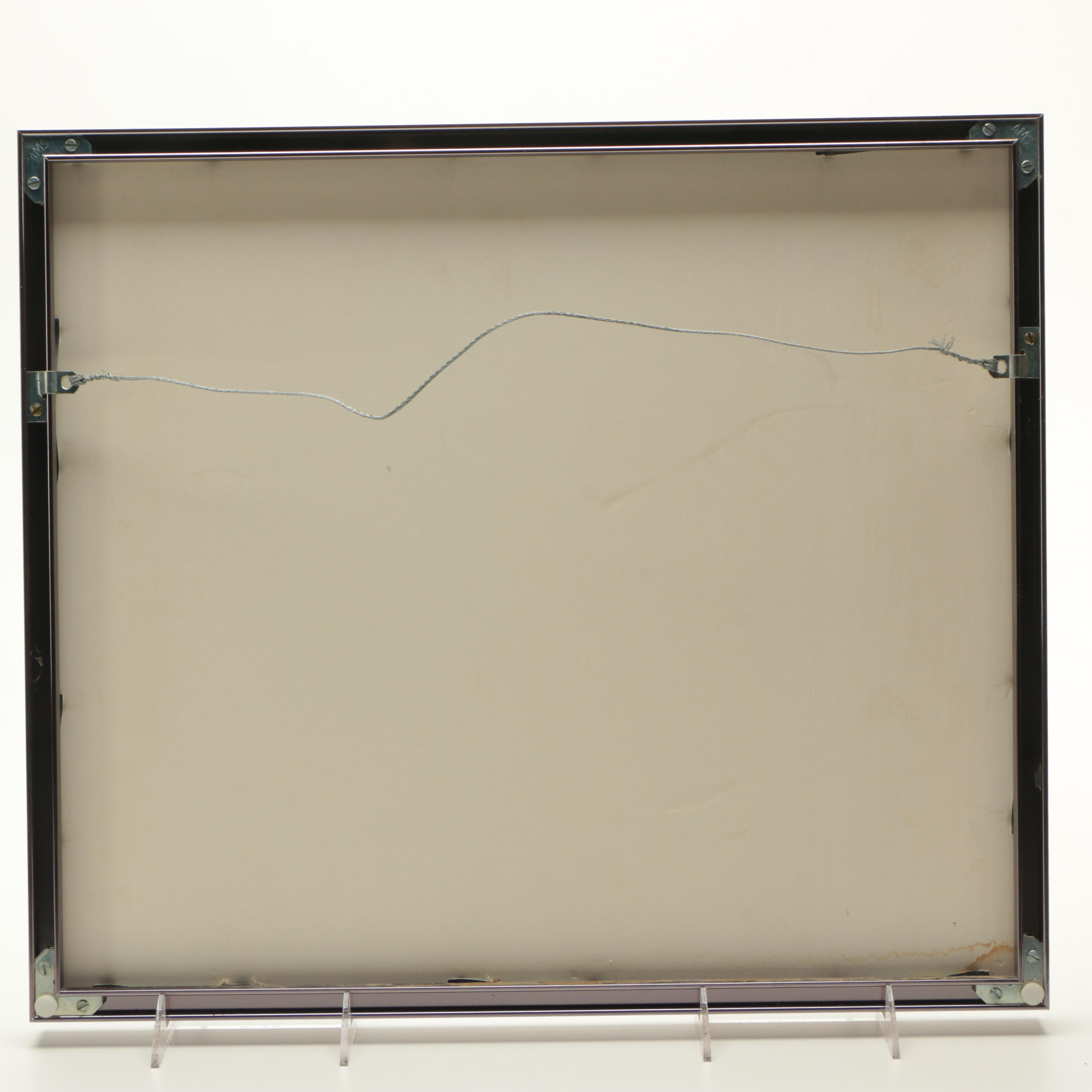 Surreal Photograph of Street Signs