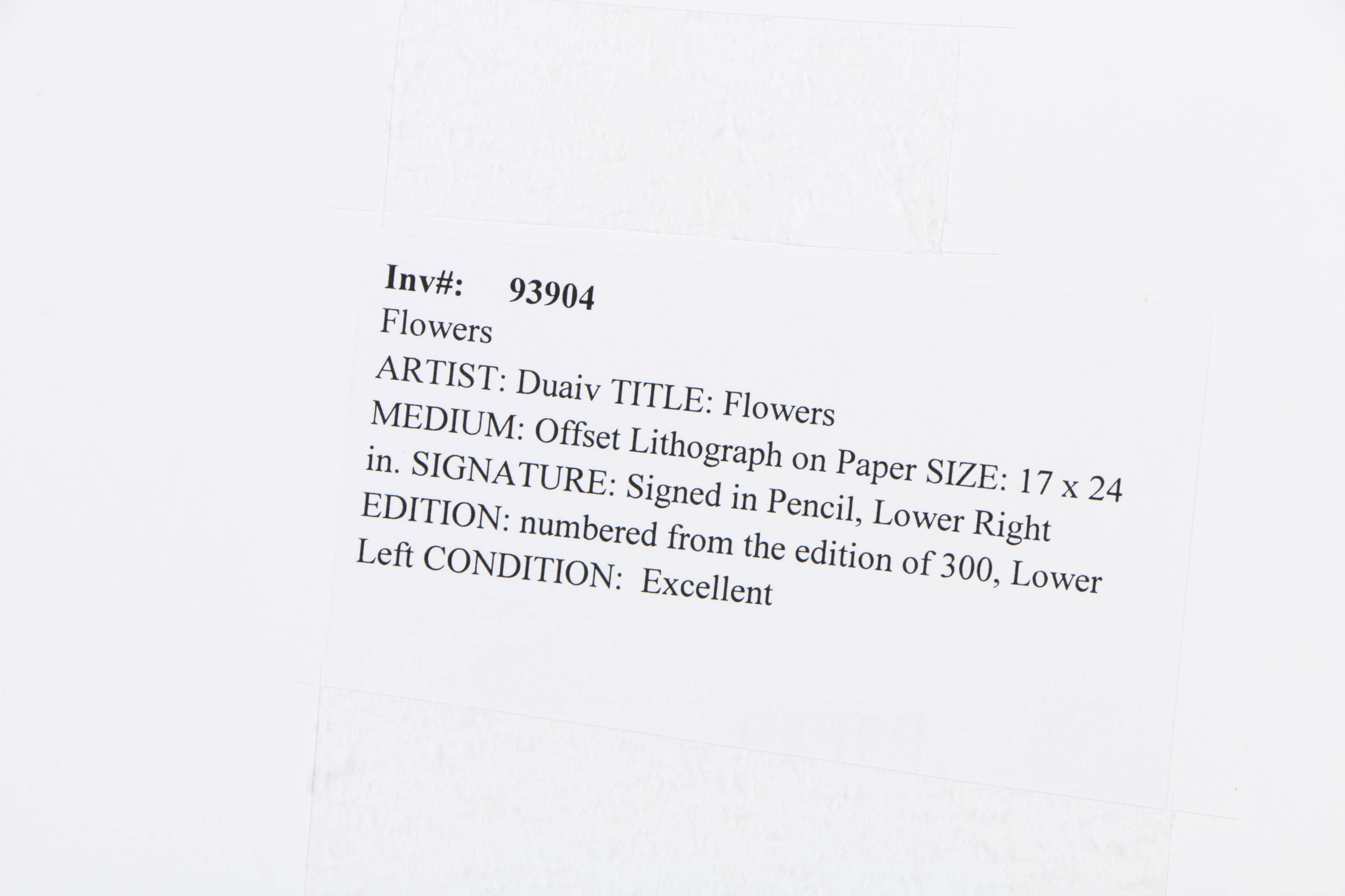 Duaiv Signed Artist's Proof Offset Lithograph on Paper "Flowers"