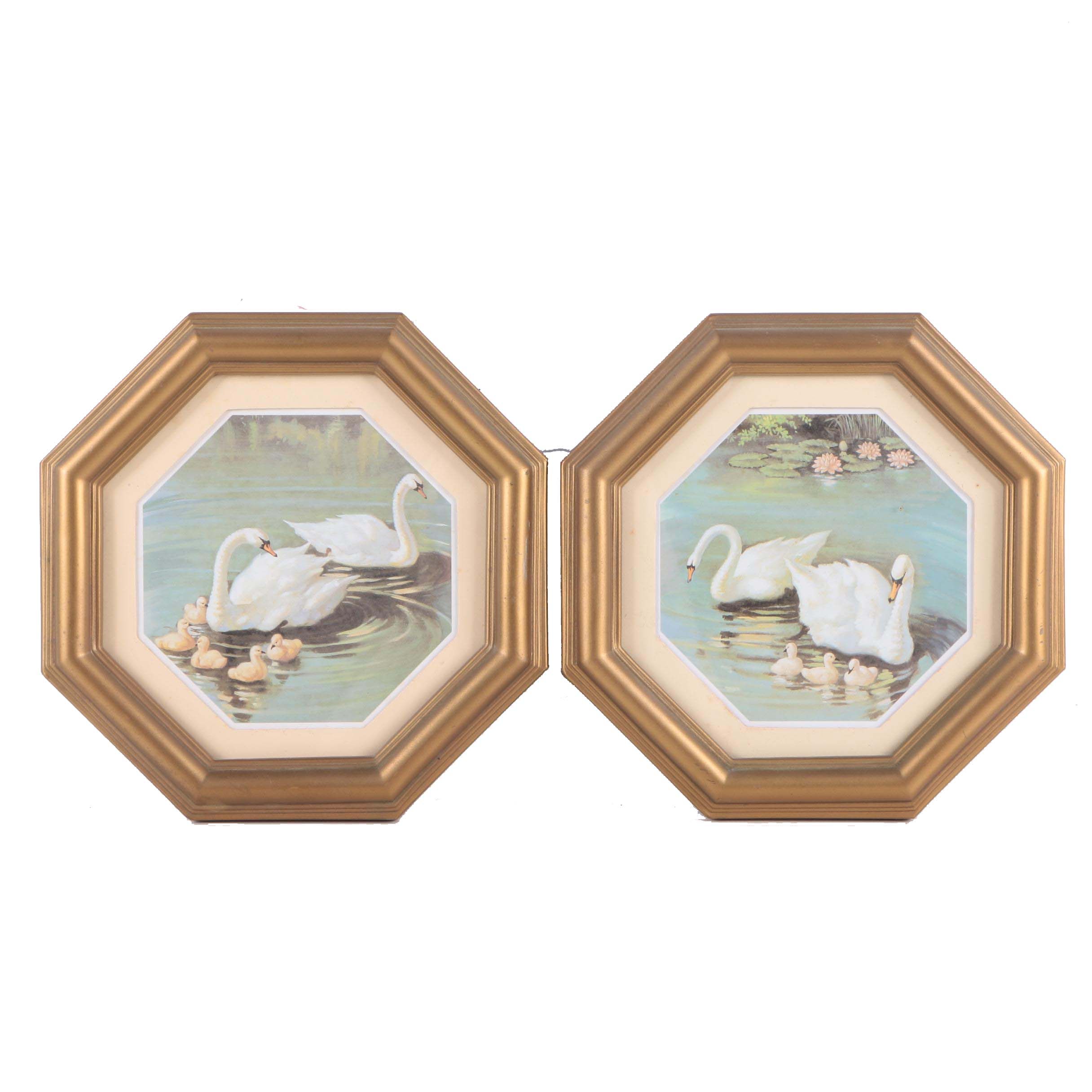 Offset Lithograph Prints Depicting Families of Swans