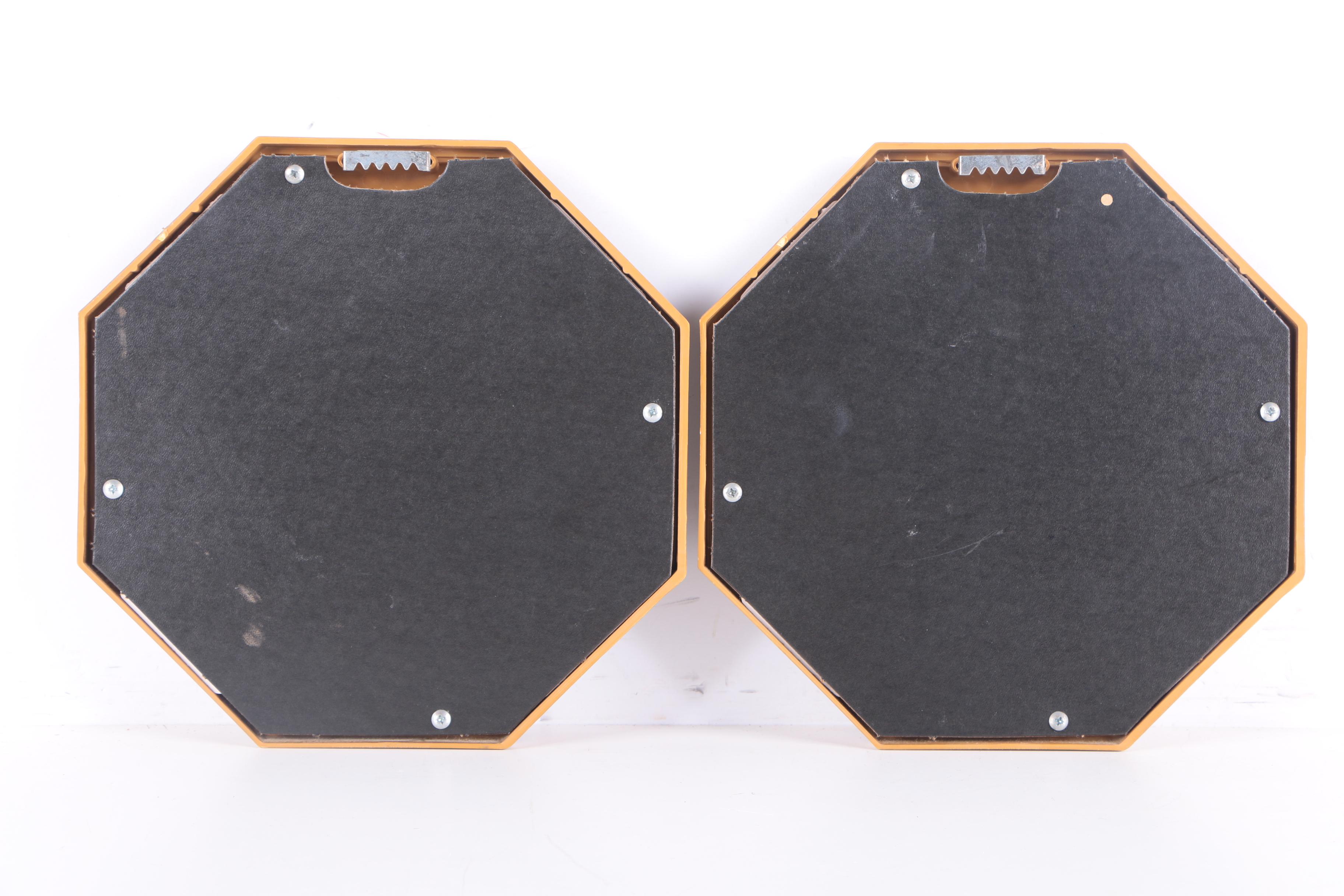 Offset Lithograph Prints Depicting Families of Swans