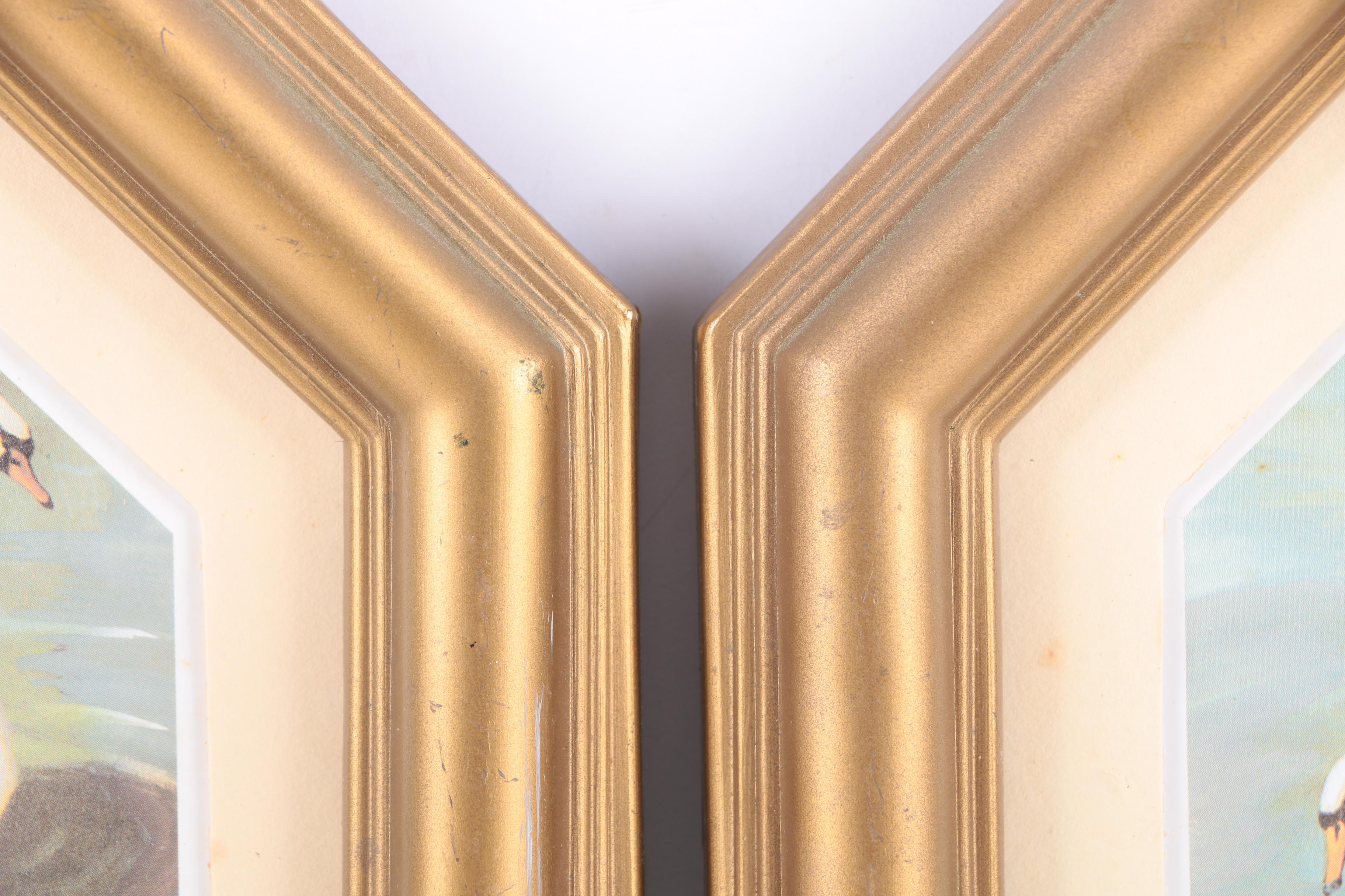 Offset Lithograph Prints Depicting Families of Swans