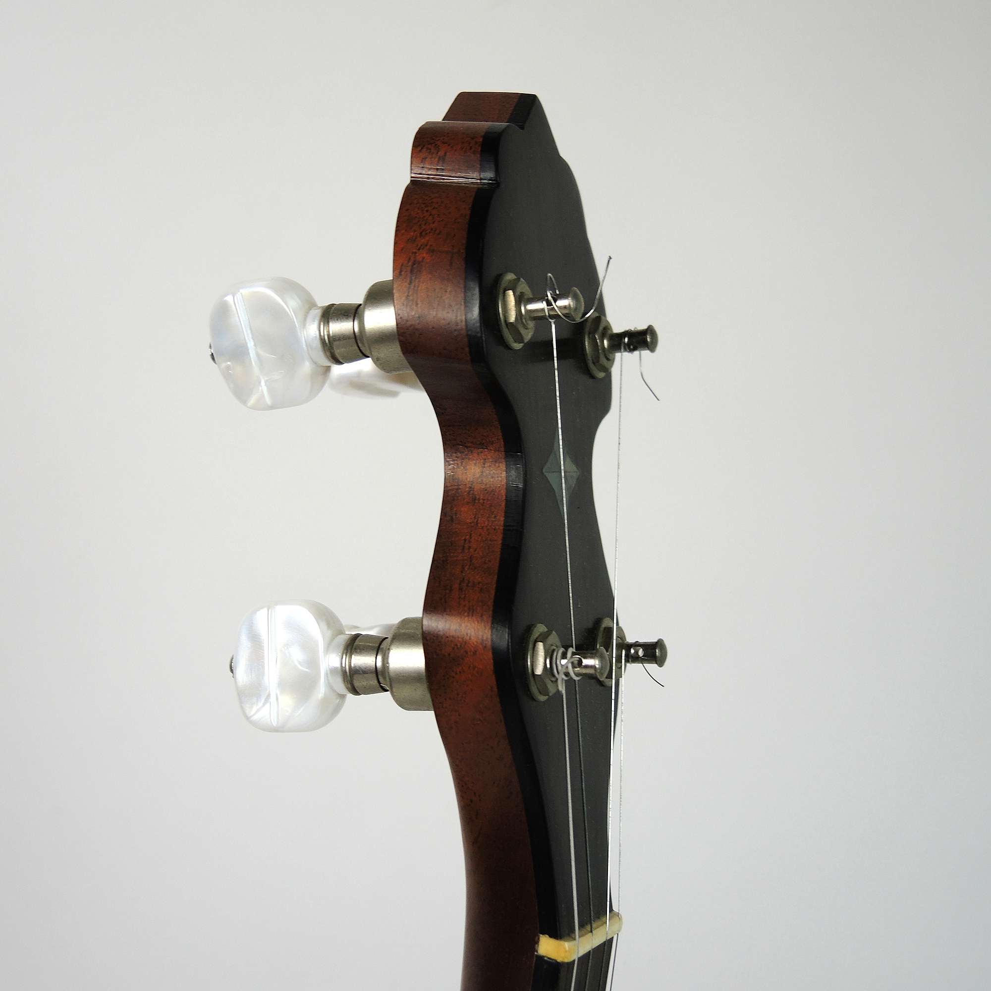 Mike Ramsey 5-String Open-Back Rosewood Banjo