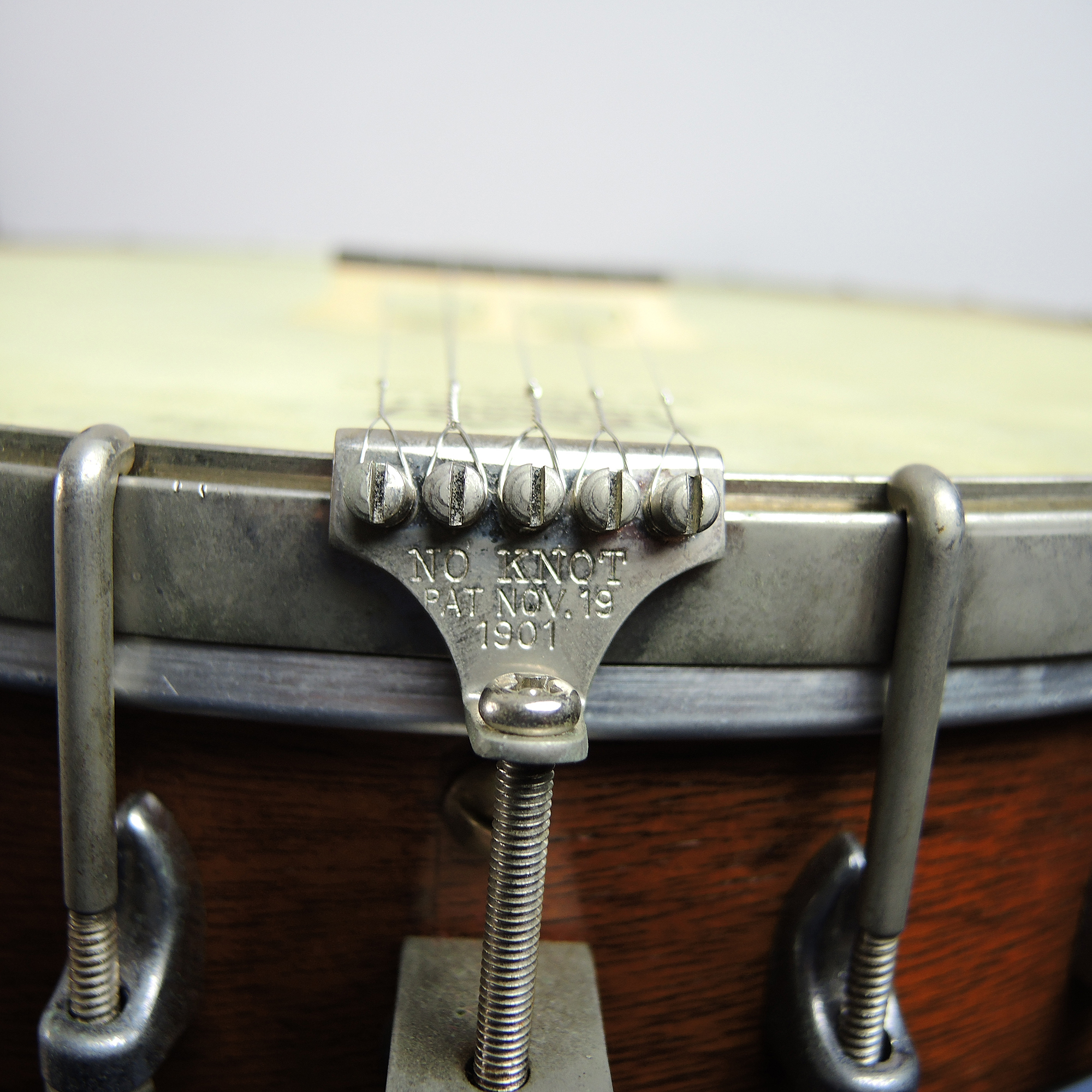 Mike Ramsey 5-String Open-Back Rosewood Banjo