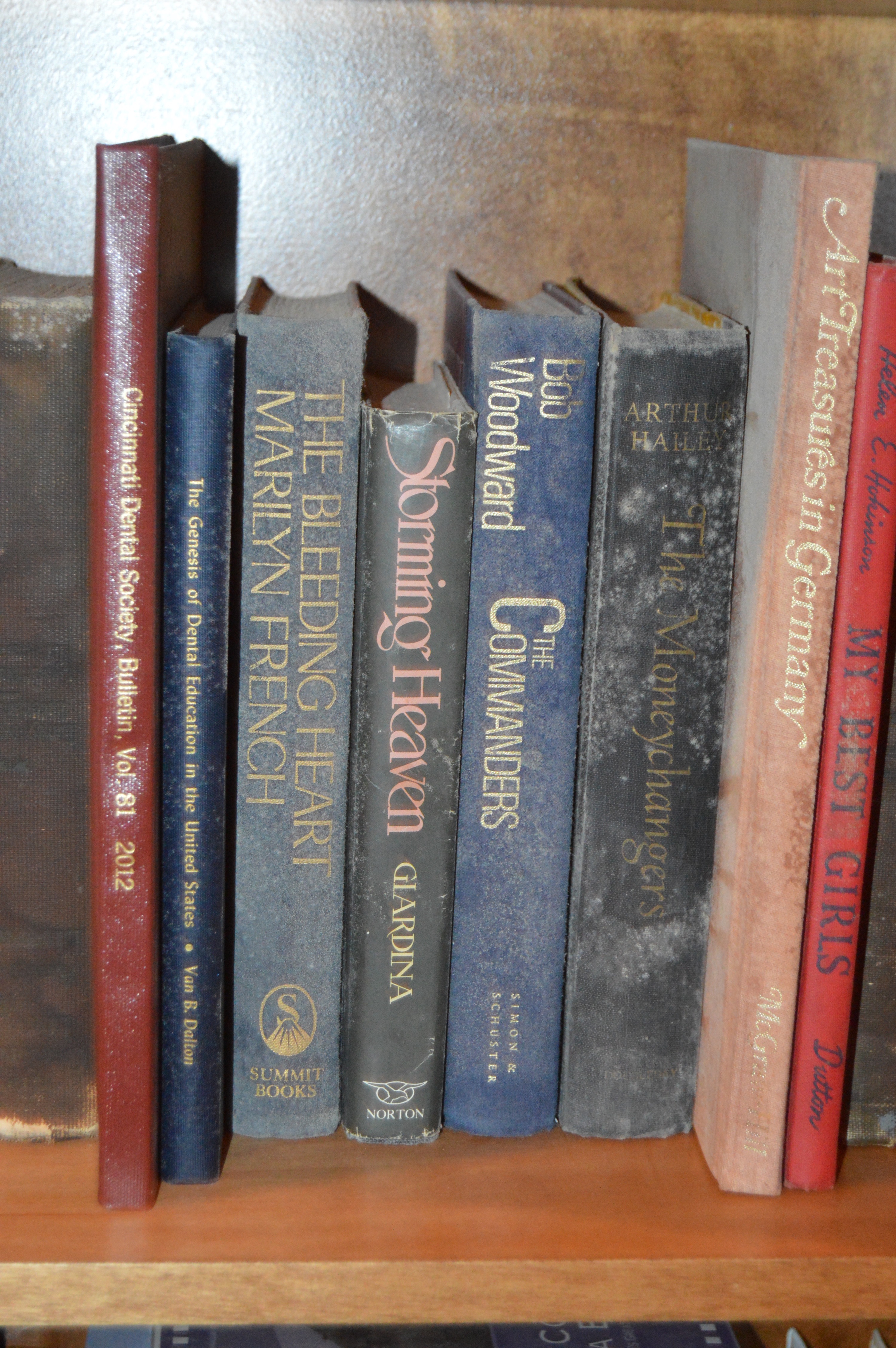 Collection of Antique and Vintage Hardback Books
