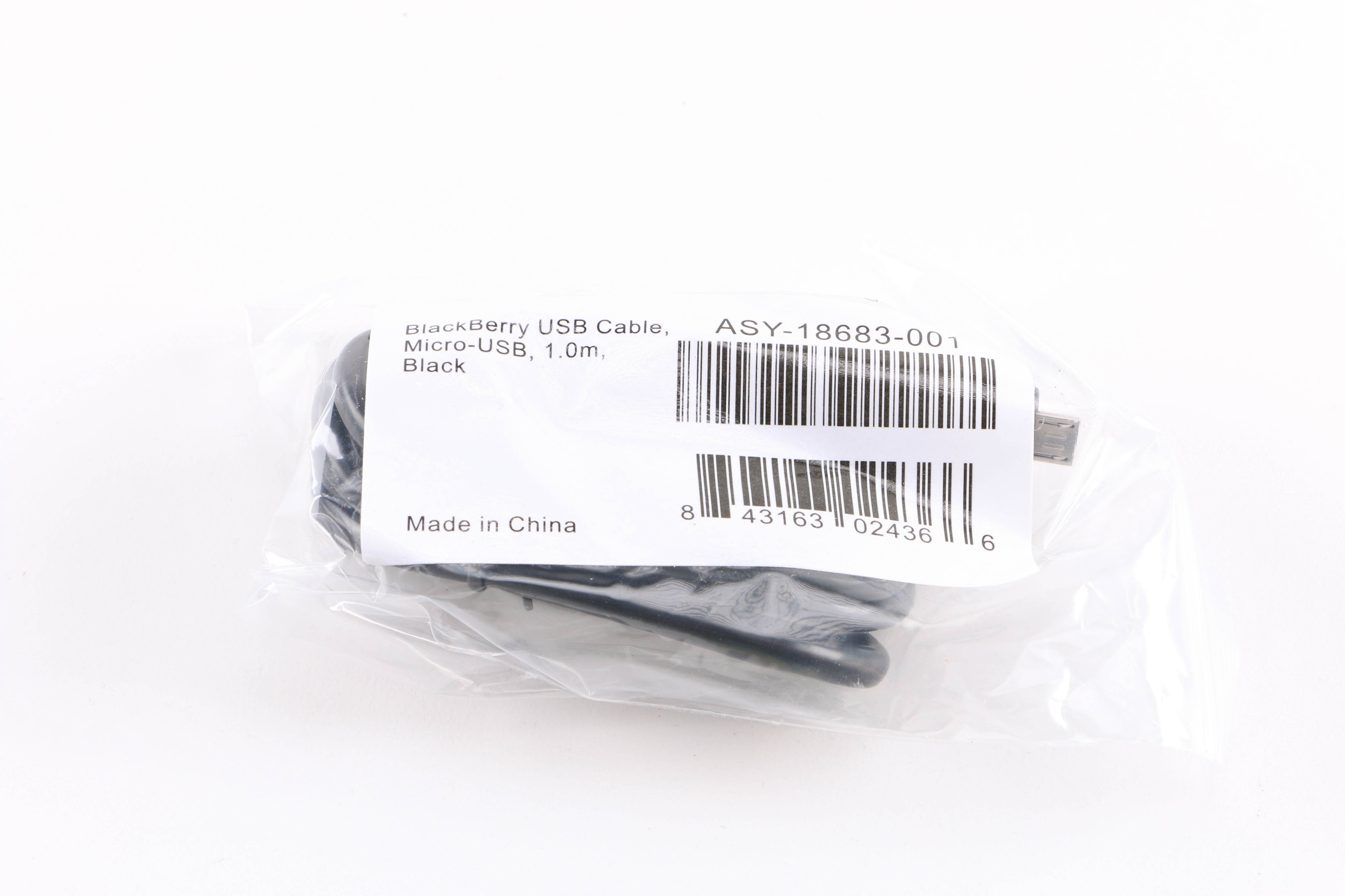 2009 BlackBerry Presenter