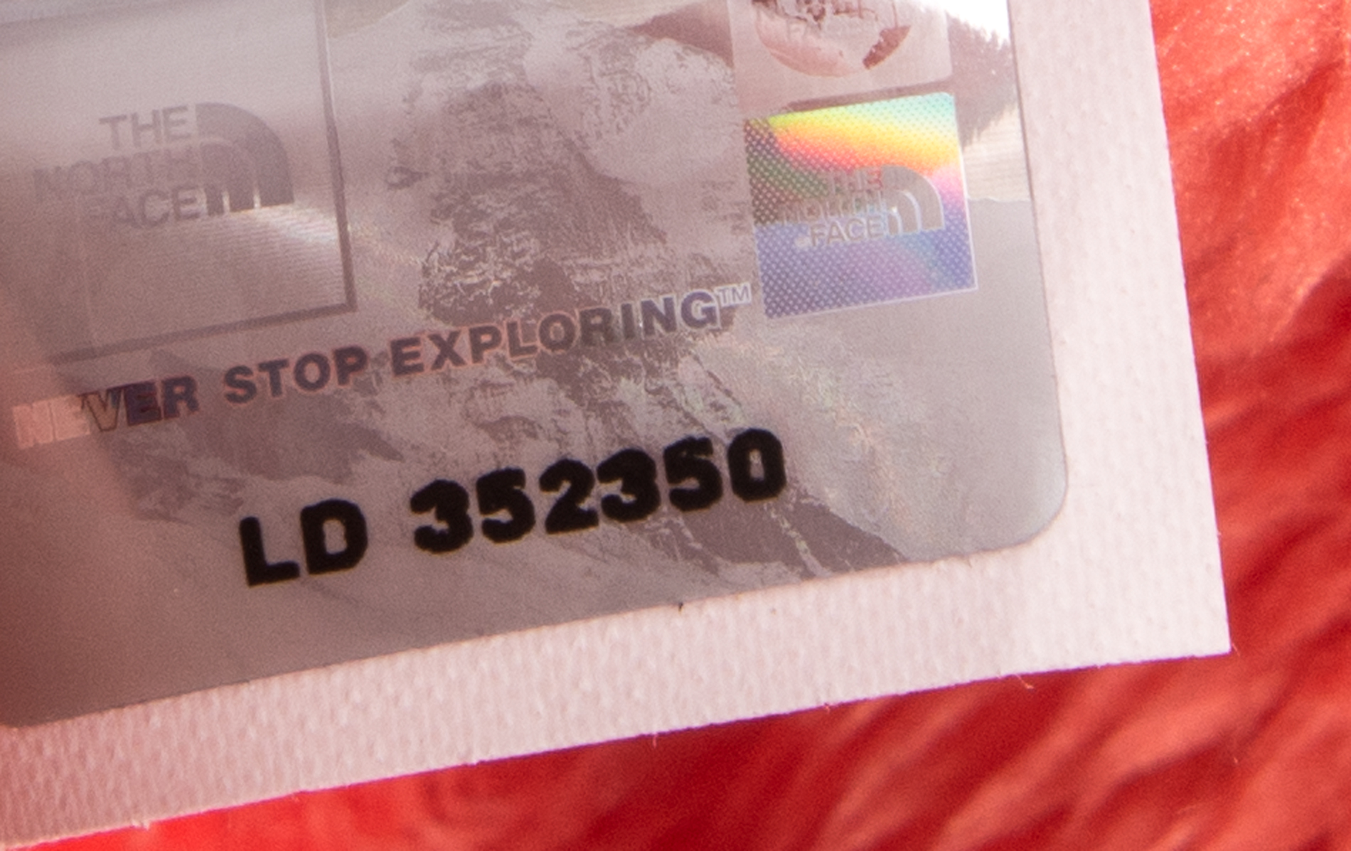 Women's The North Face Osito Jacket