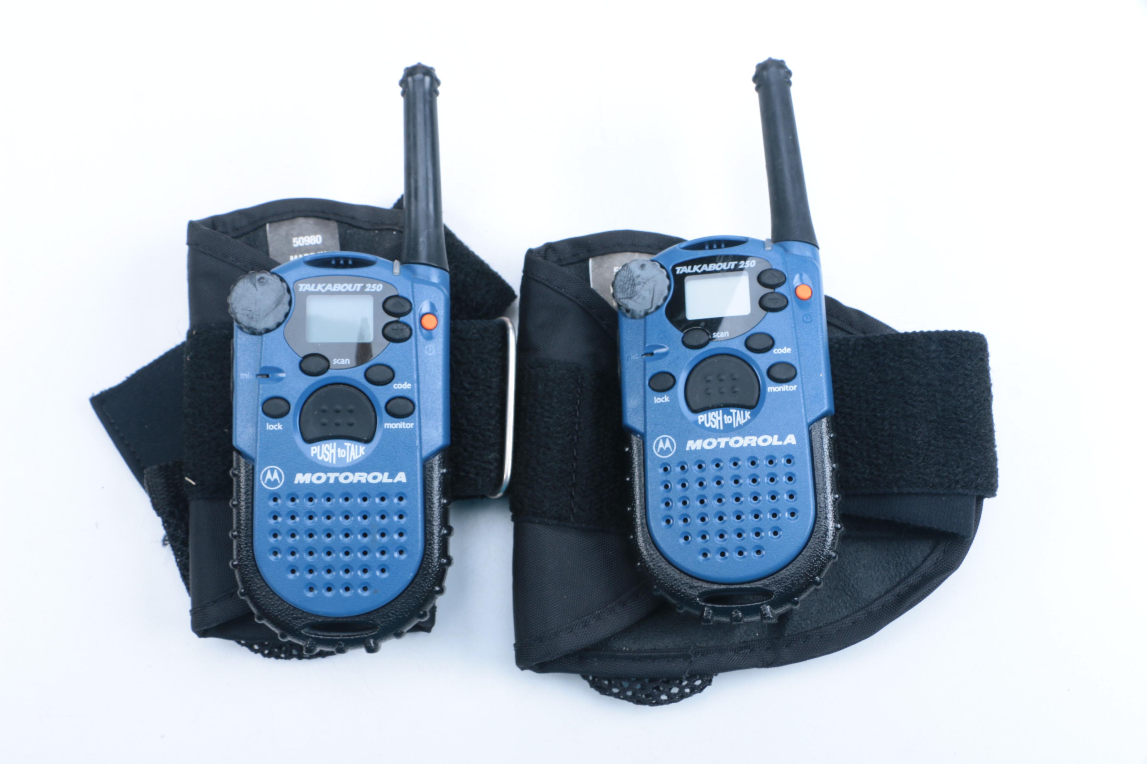 Collection of Survivalist Camping Accessories