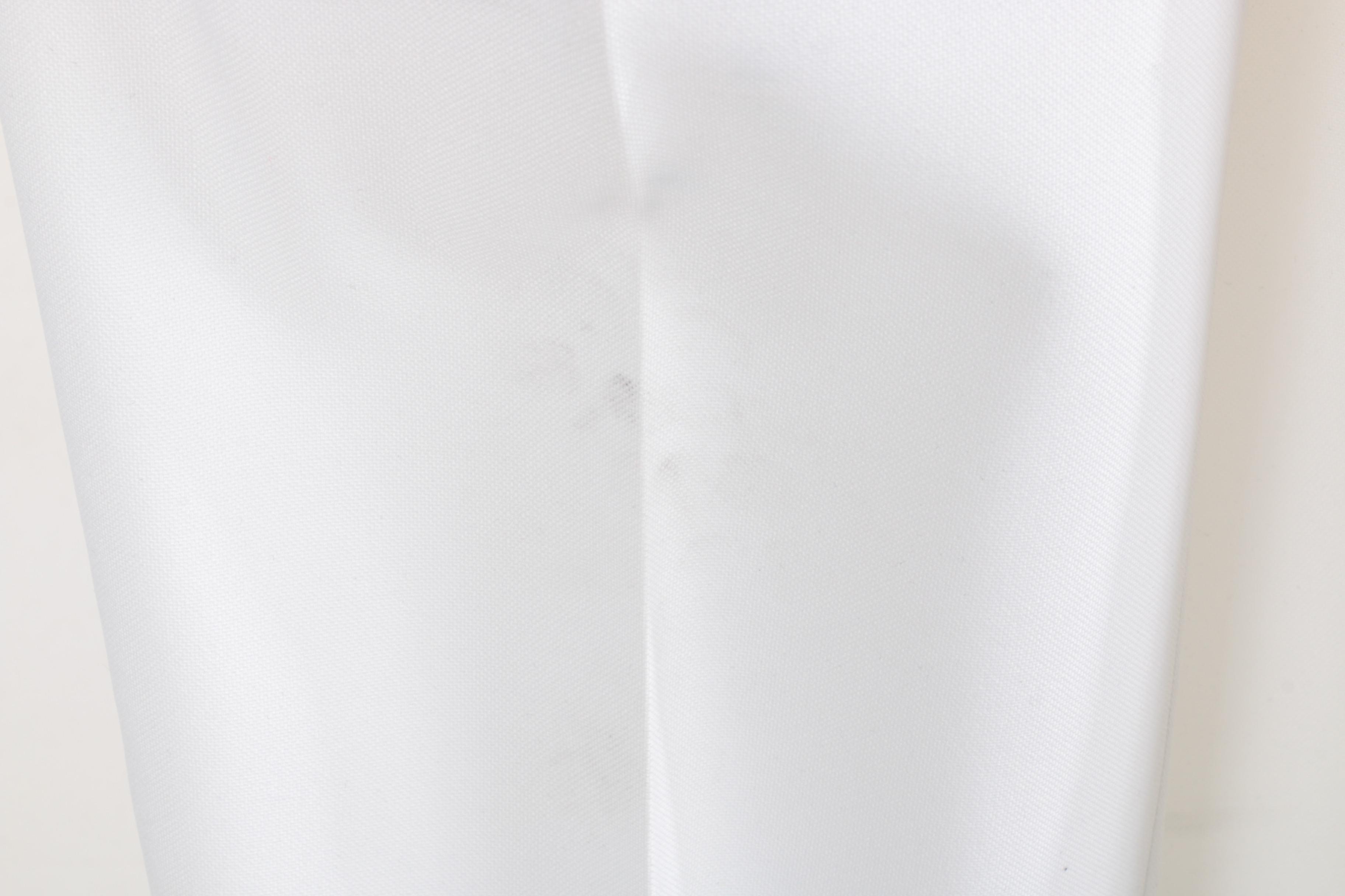 "Vote 4 David" Suit Given to David Arquette on "The Ellen DeGeneres Show"