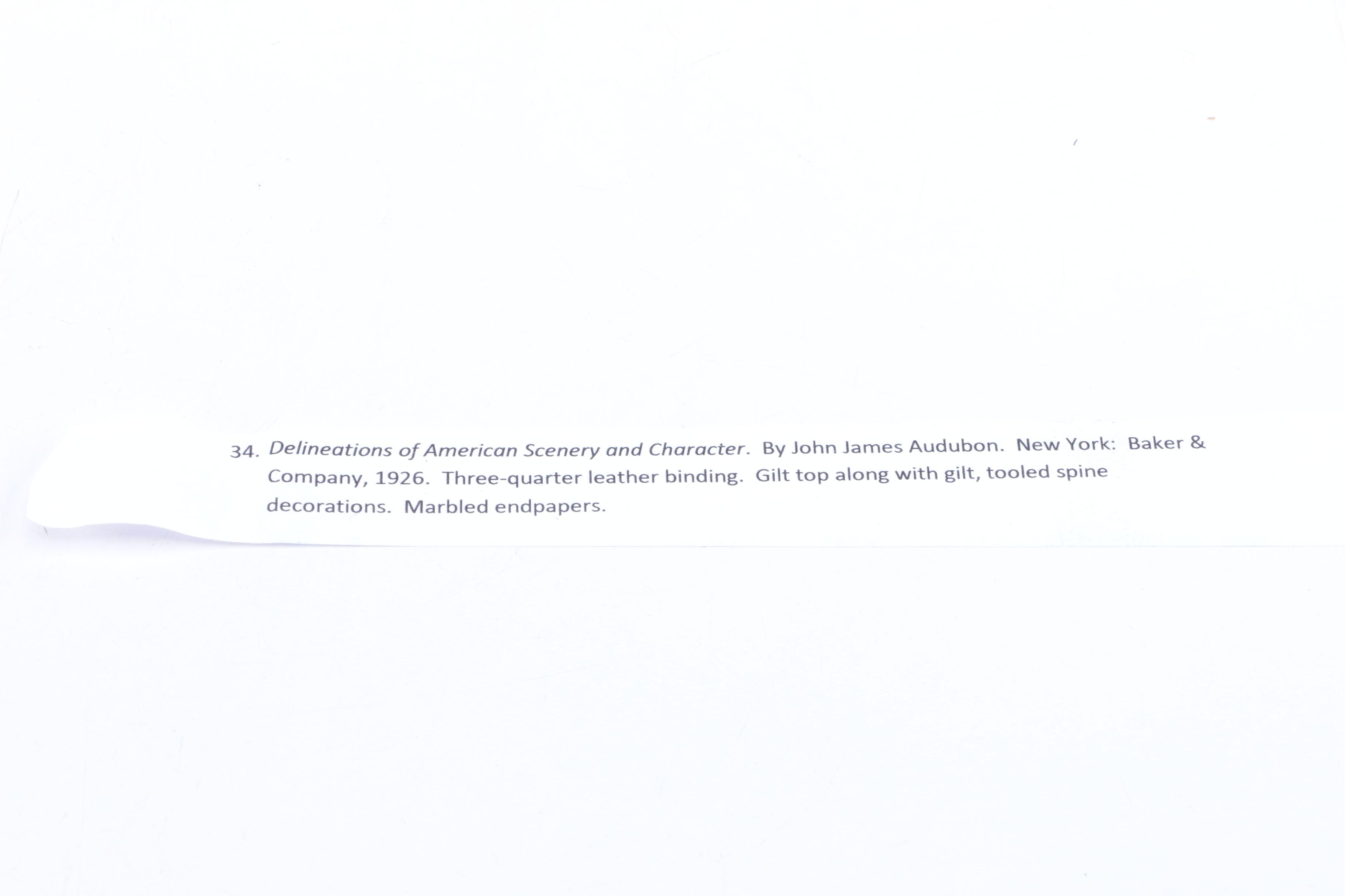 1926 "Delineations of American Scenery and Character" by John James Audubon