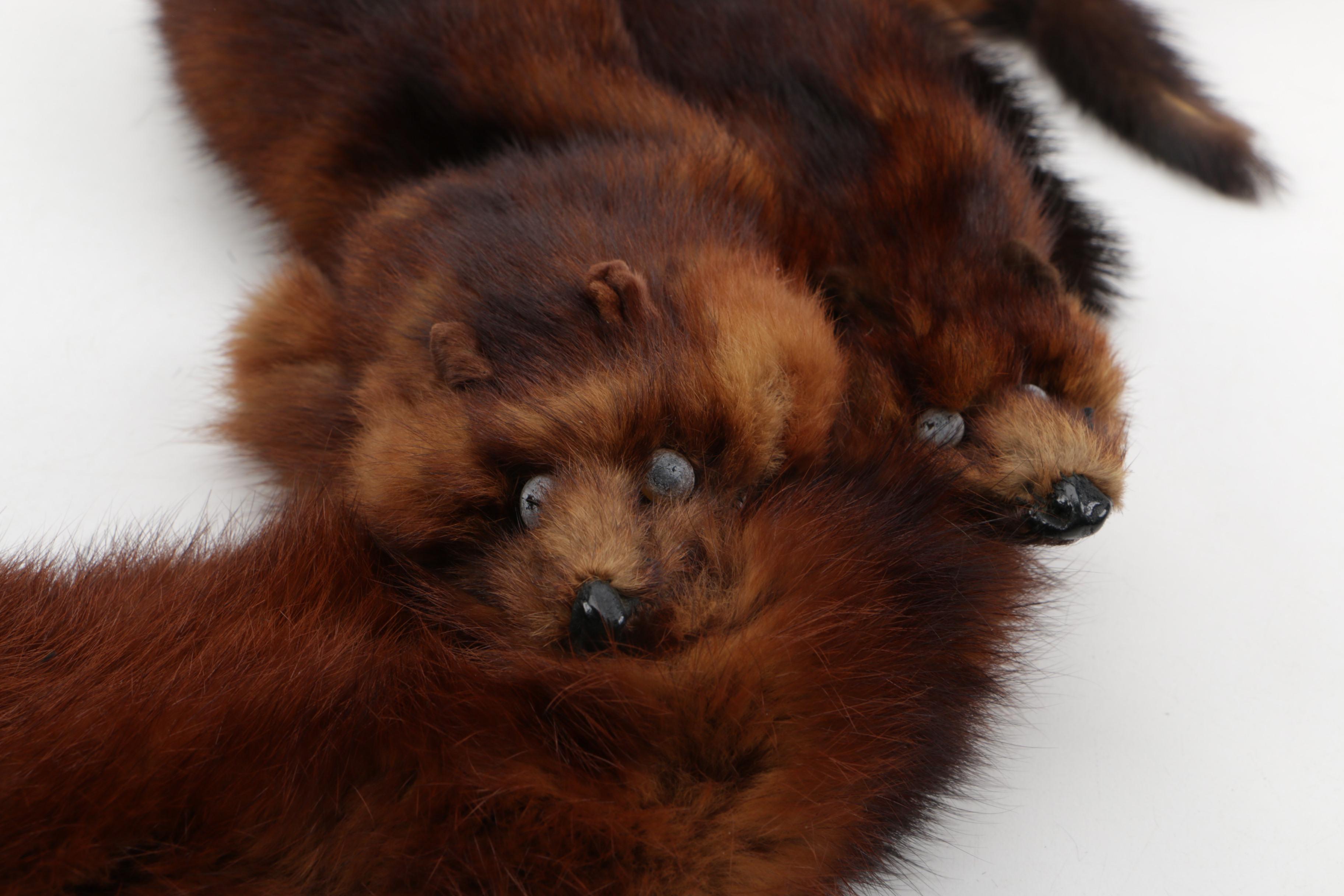 Vintage Brown Mink Fur Collar and Vintage Dyed Black Beaver Fur Muff