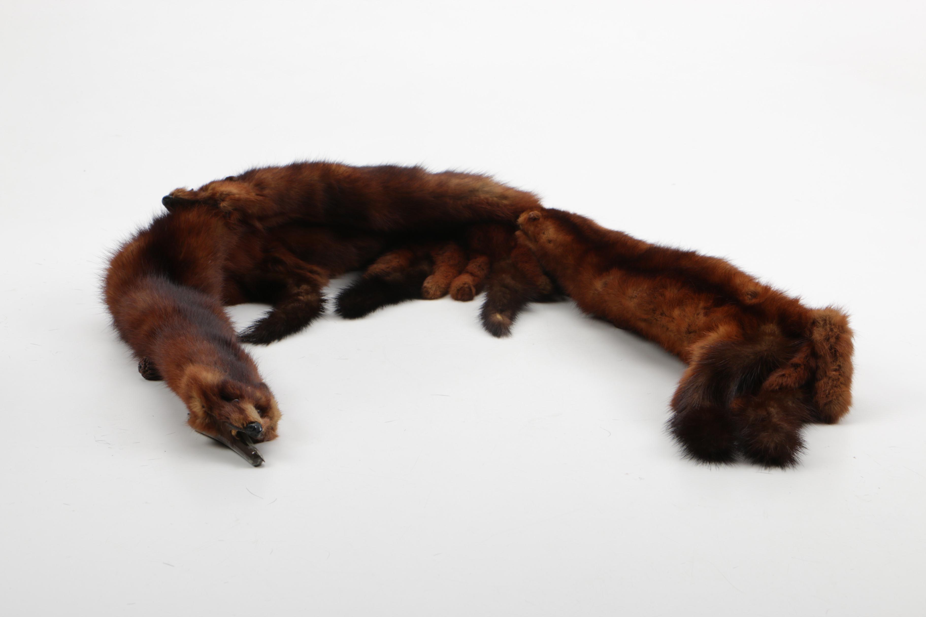 Vintage Brown Mink Fur Collar and Vintage Dyed Black Beaver Fur Muff