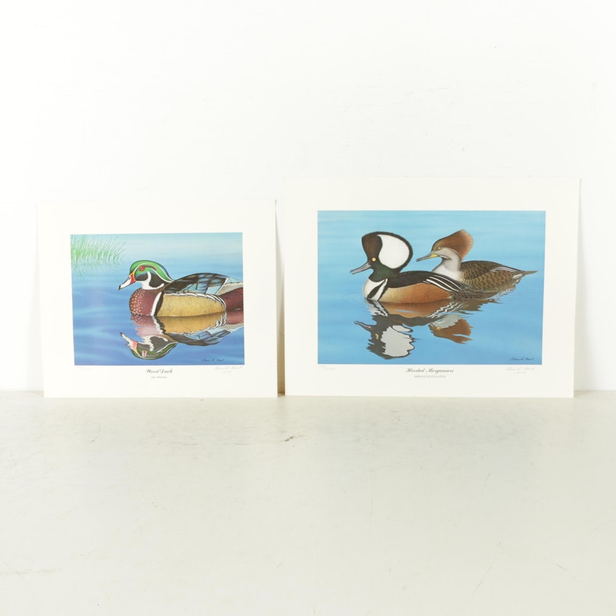 Pair Limited Edition Offset Lithographs of Ducks After Alan D. Hart