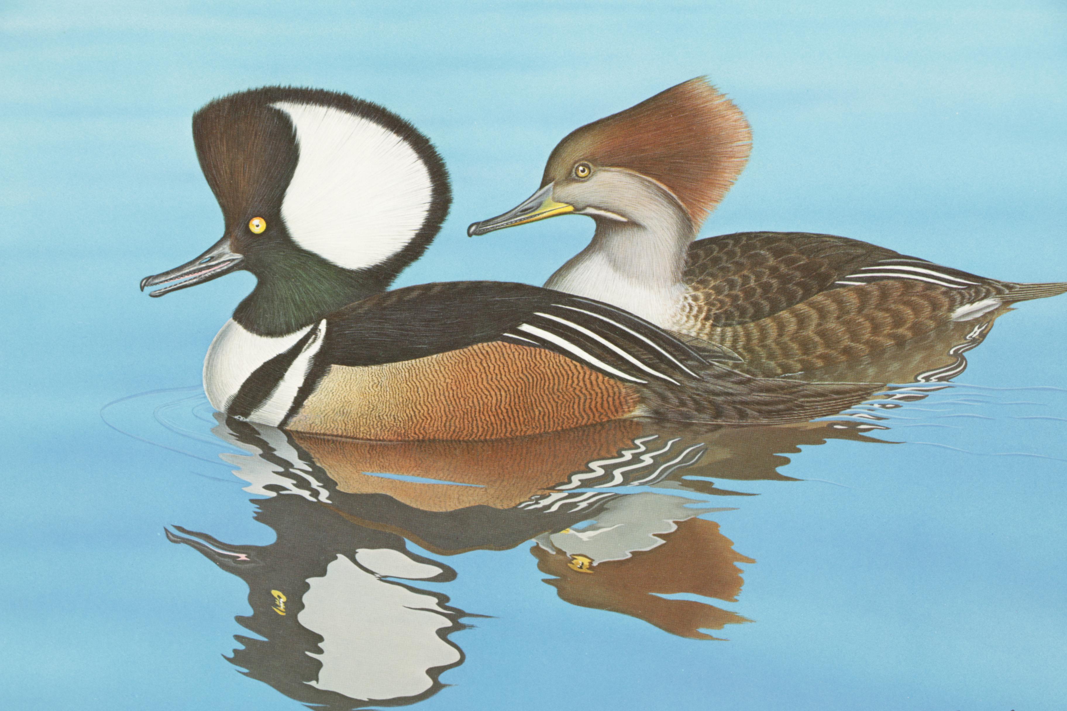 Pair Limited Edition Offset Lithographs of Ducks After Alan D. Hart
