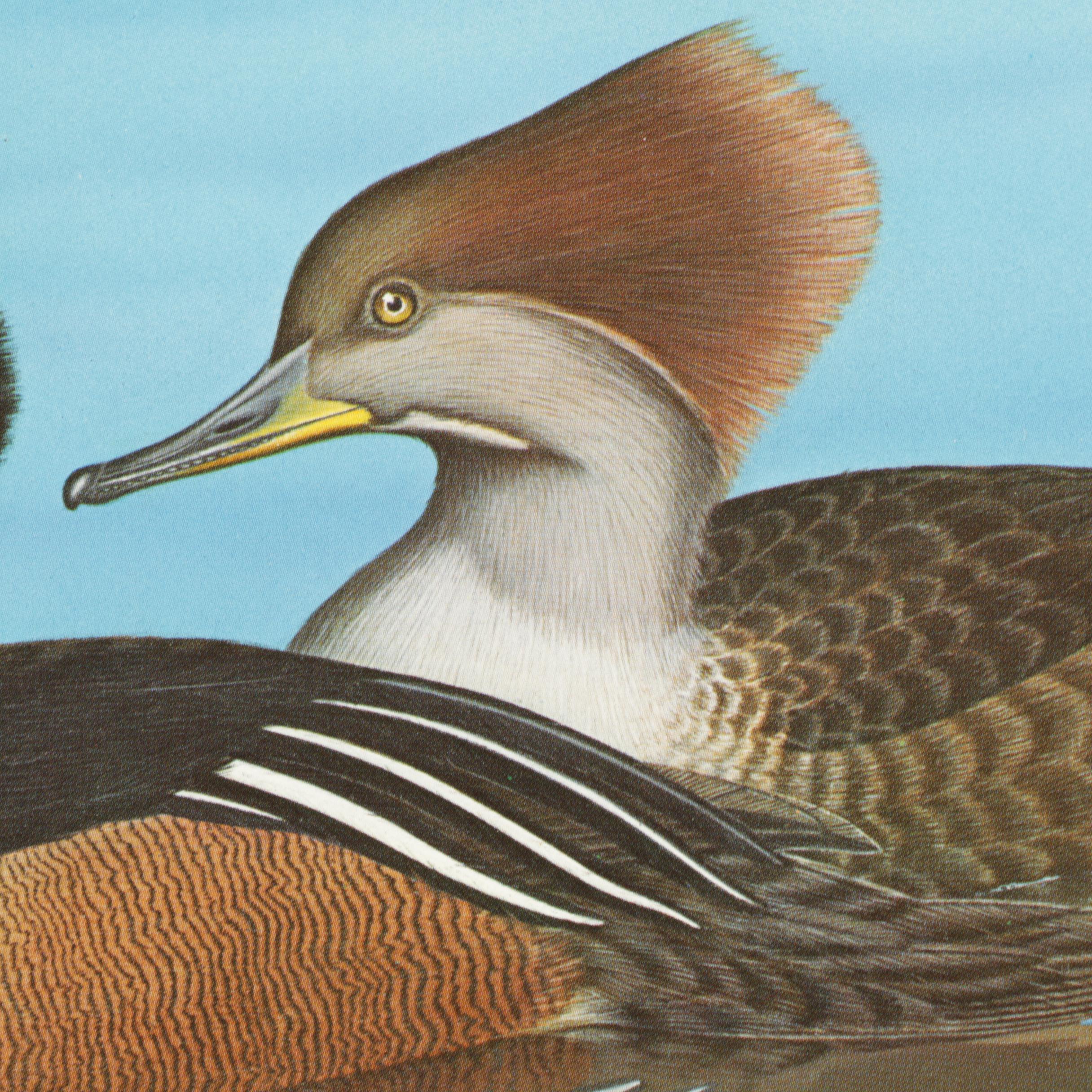 Pair Limited Edition Offset Lithographs of Ducks After Alan D. Hart