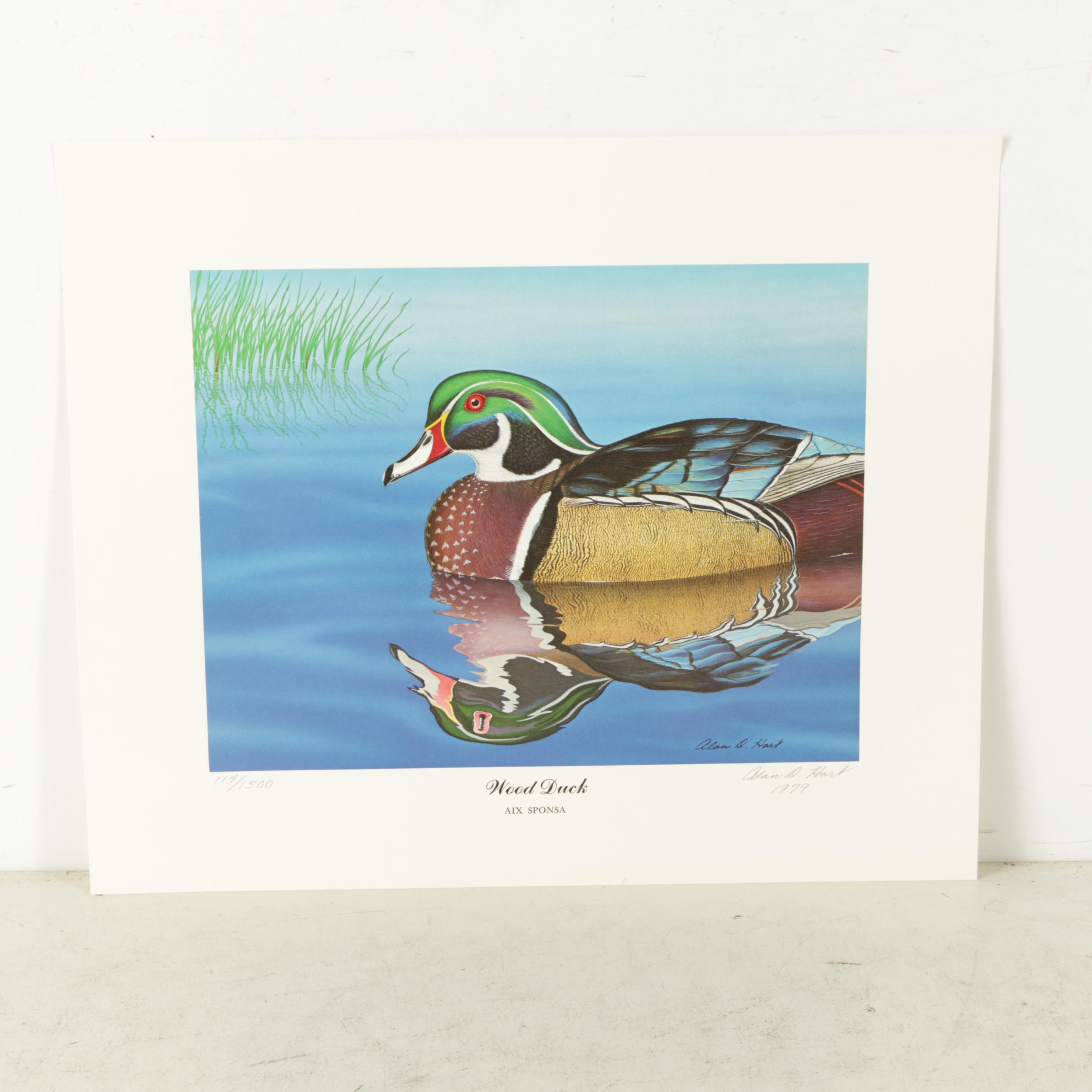 Pair Limited Edition Offset Lithographs of Ducks After Alan D. Hart