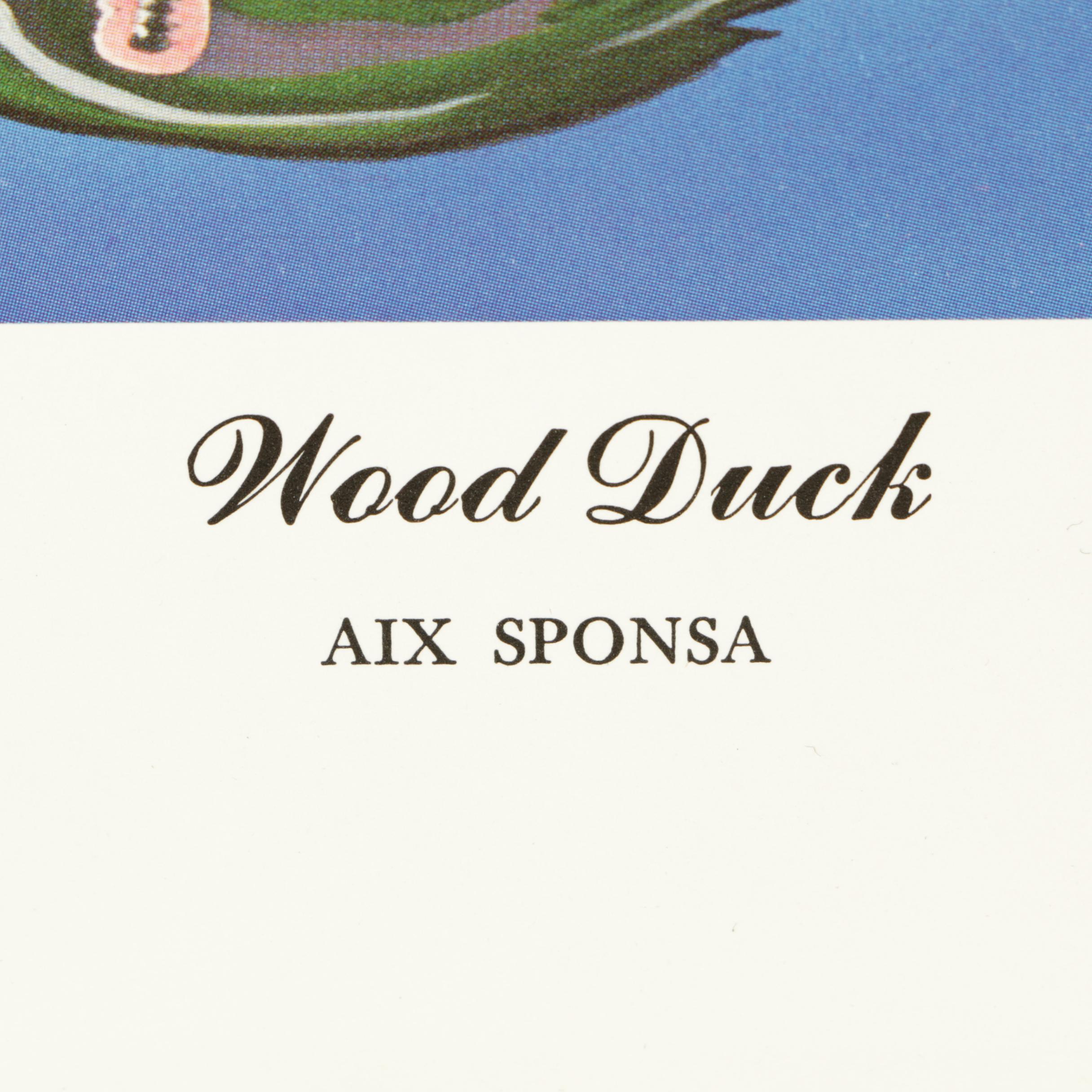 Pair Limited Edition Offset Lithographs of Ducks After Alan D. Hart