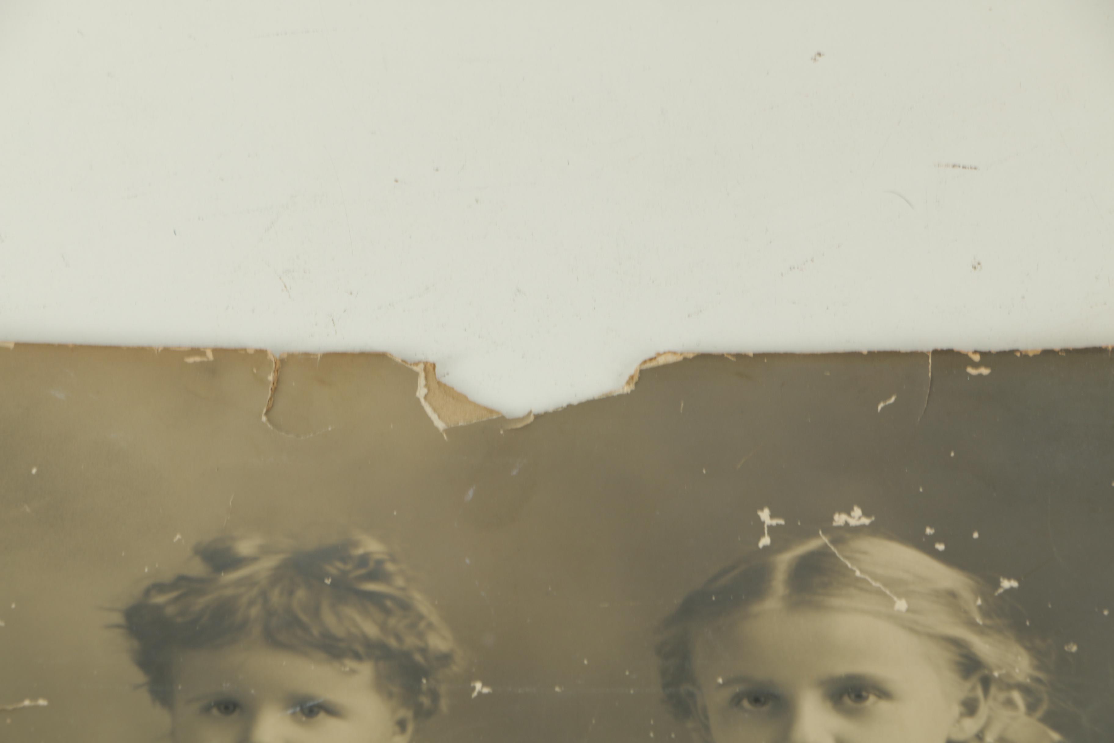 Collection of Albumen Photographs