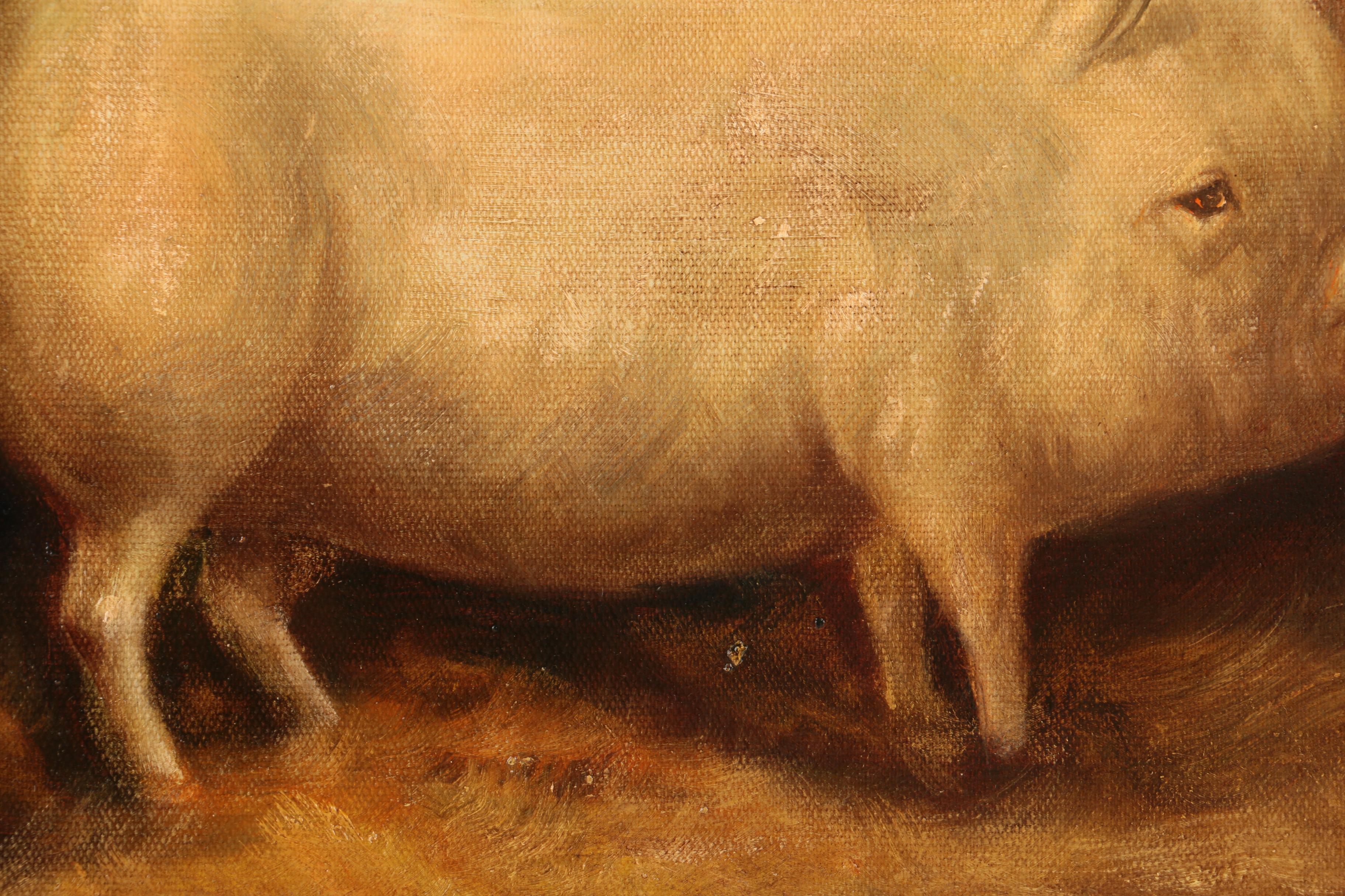 S. Richards Oil Painting of a Pig