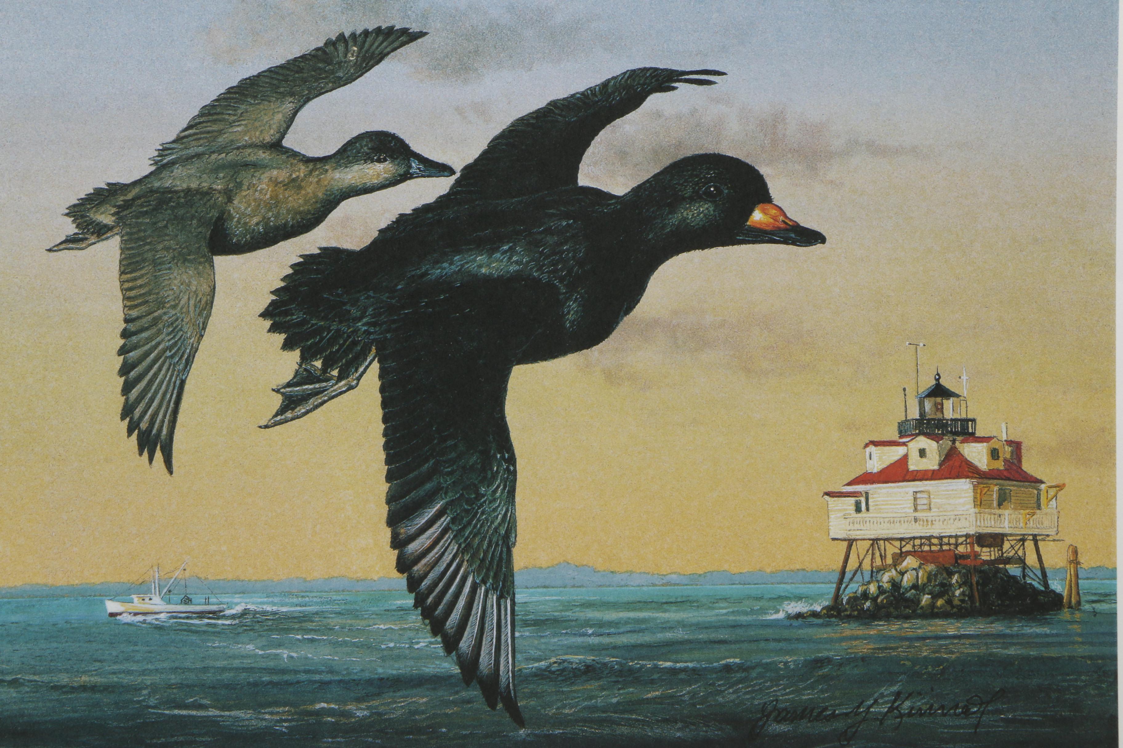 James Y. Kinnett Artist Proof Print After Maryland Waterfowl Stamp Illustration