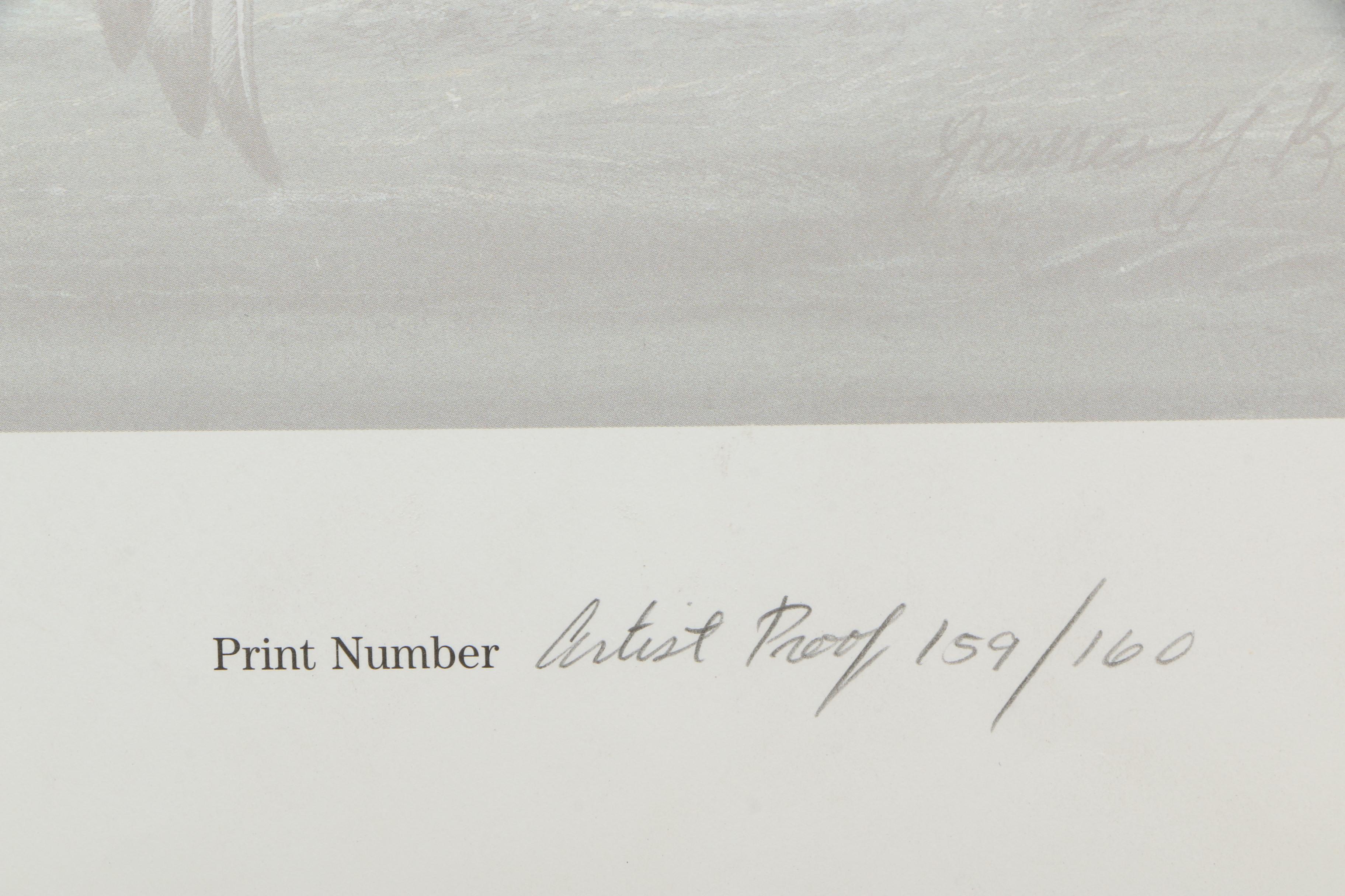 James Y. Kinnett Artist Proof Print After Maryland Waterfowl Stamp Illustration