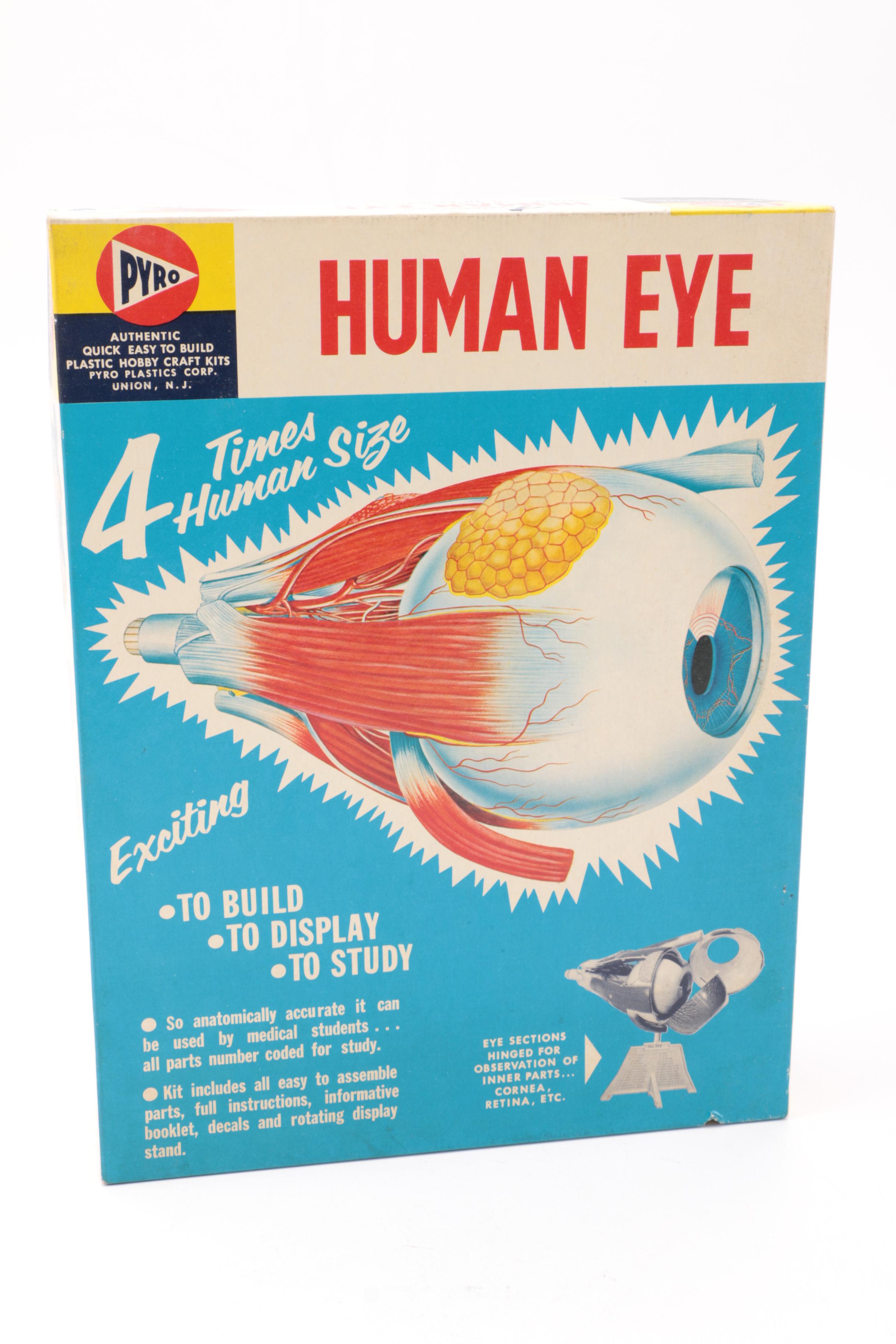 Vintage Human Eye Model Kit and Spirograph Kit