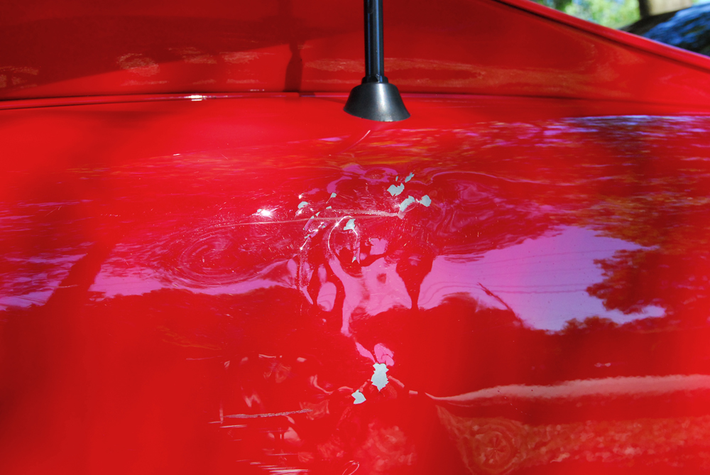 2002 Pontiac Firebird Trans Am