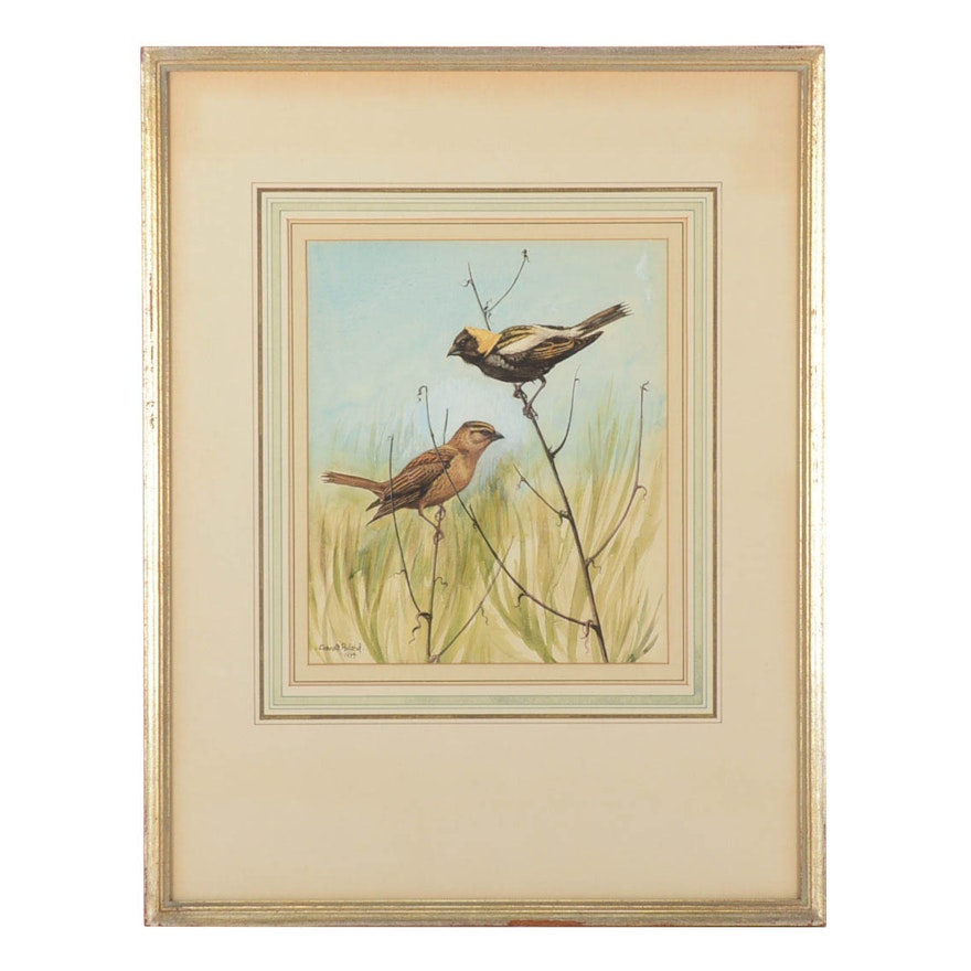Conrad Roland Signed Watercolor and Gouache Bird Painting