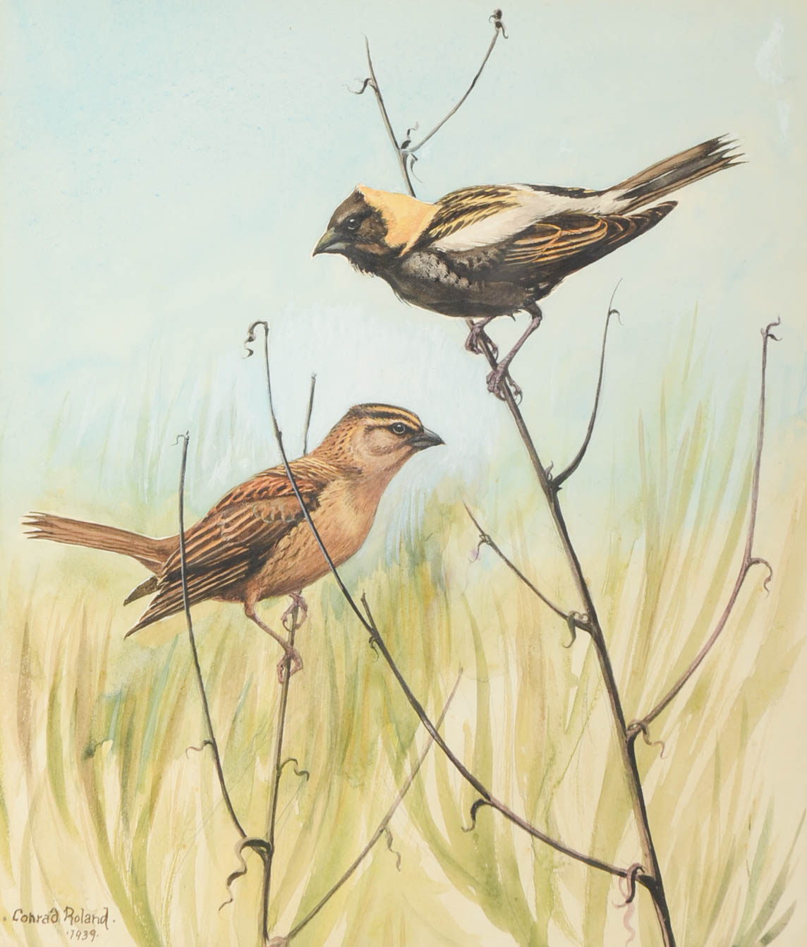 Conrad Roland Signed Watercolor and Gouache Bird Painting