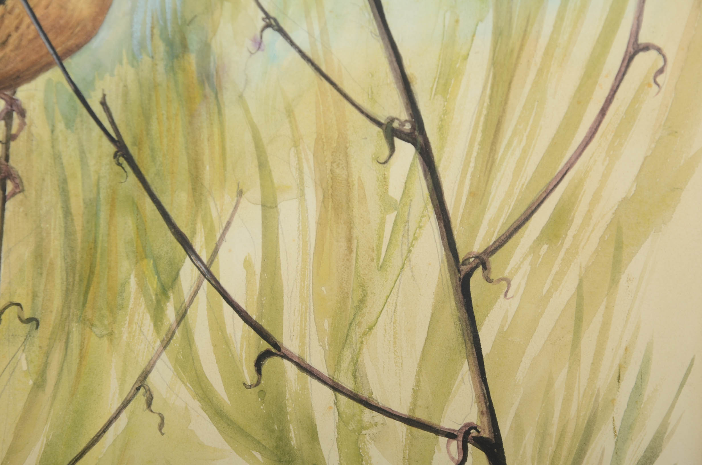 Conrad Roland Signed Watercolor and Gouache Bird Painting