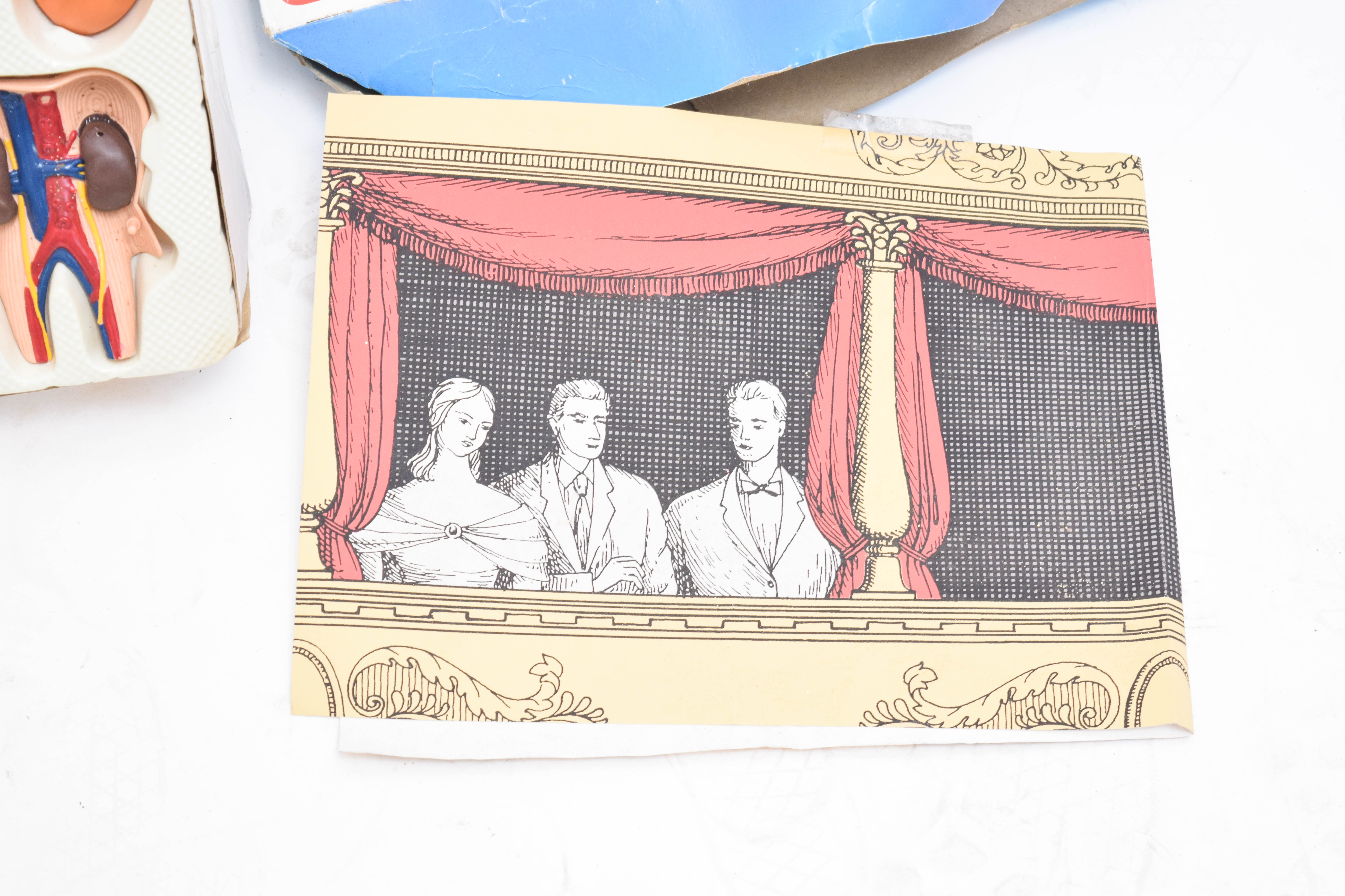 1995 Human Anatomy Male Model Kit by Paradise