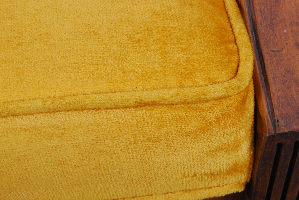 Neoclassical Style Club Chair with Cane and Upholstery