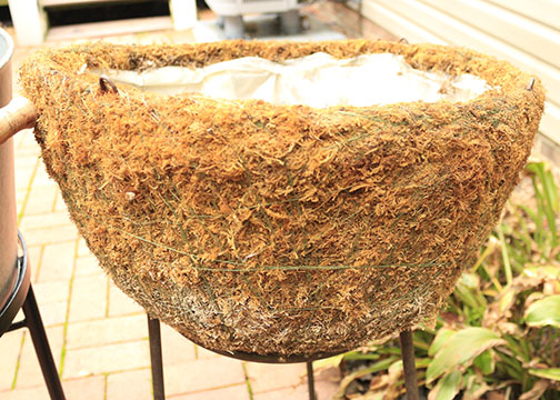 Outdoor Planters and Garden Hooks