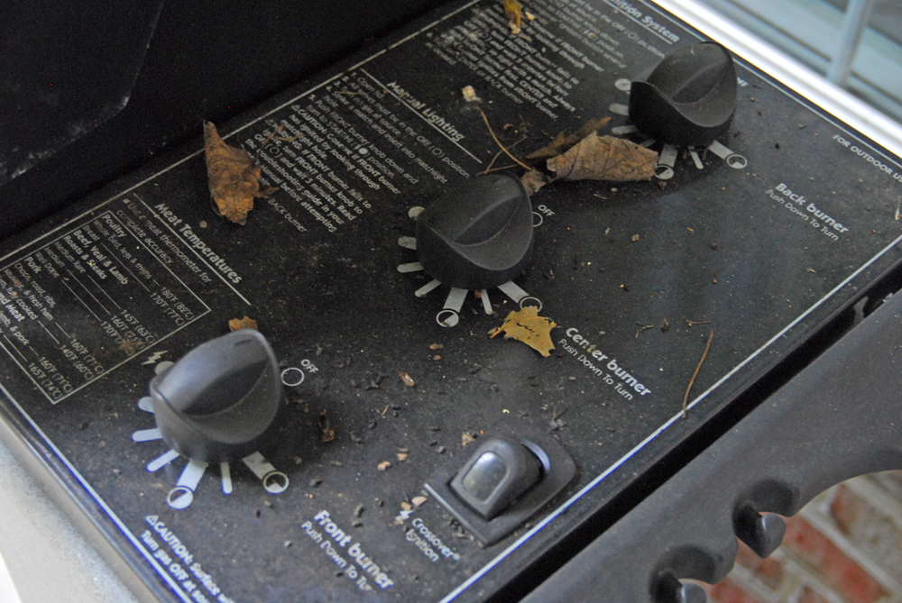 Weber Genesis Silver Propane Grill