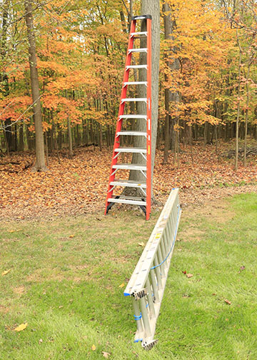 Pair Of Werner Ladders