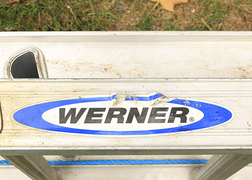 Pair Of Werner Ladders