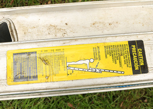 Pair Of Werner Ladders