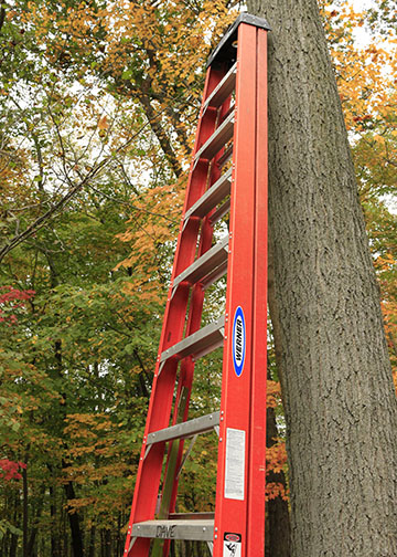 Pair Of Werner Ladders